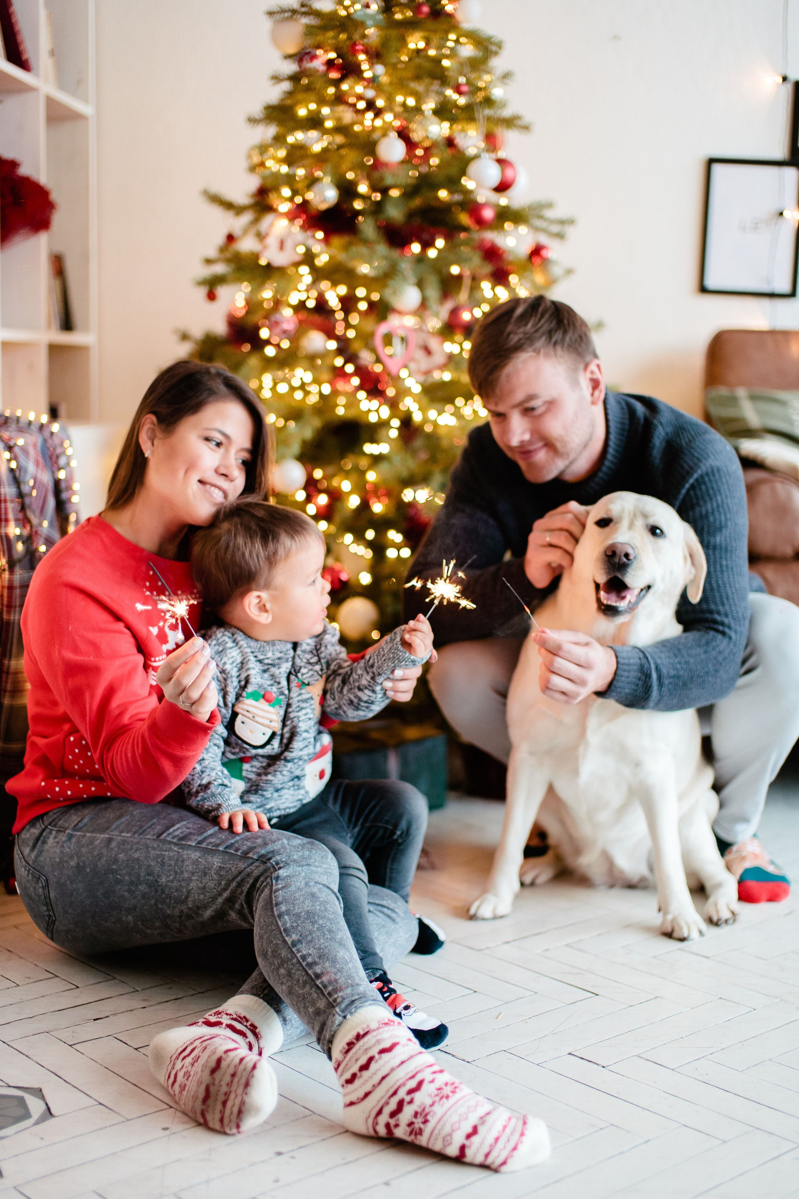 Семейная Новогодняя фотосессия в студии, фотограф в Москве