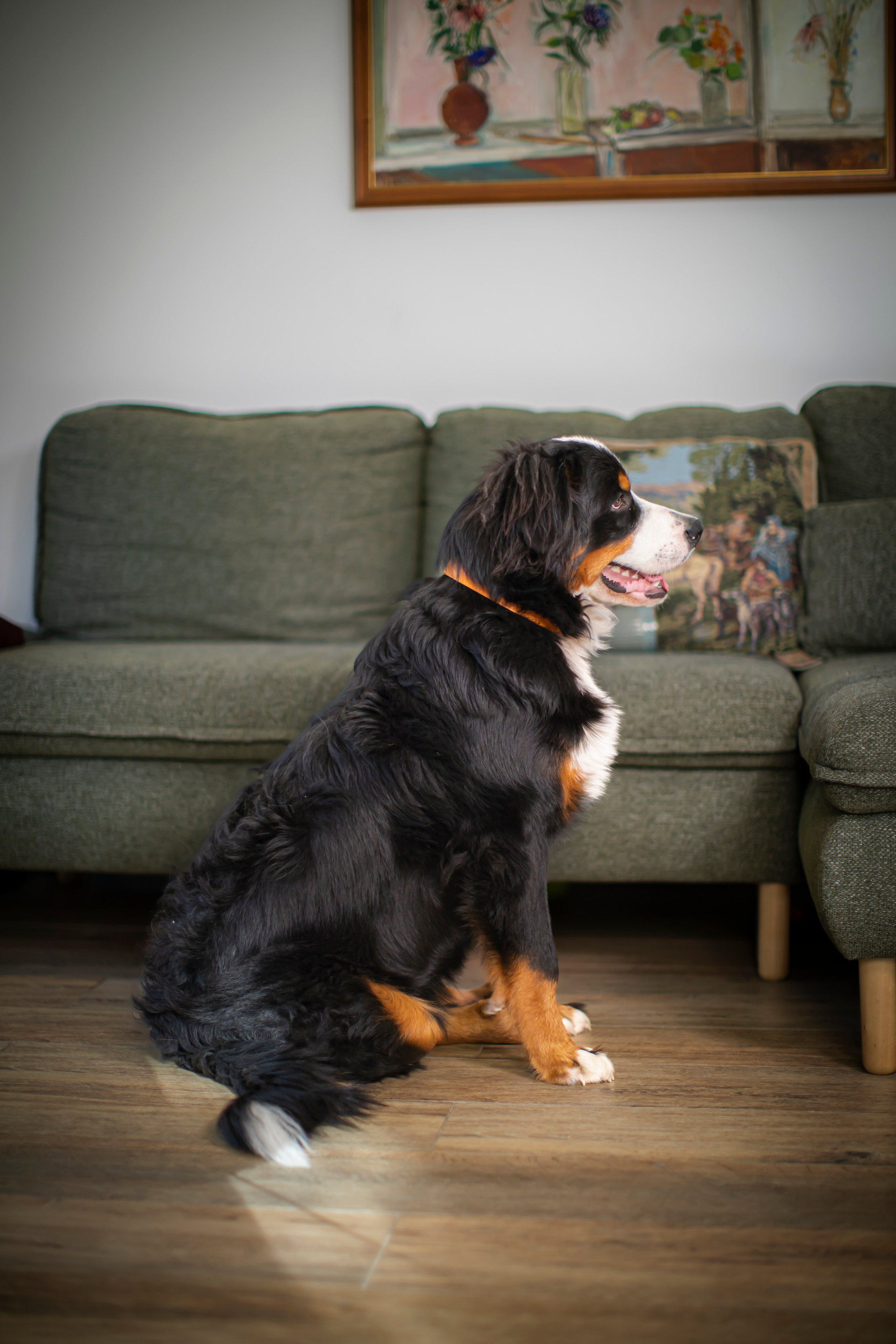 Прекрасная Вита. Фотограф Наталья Штукина