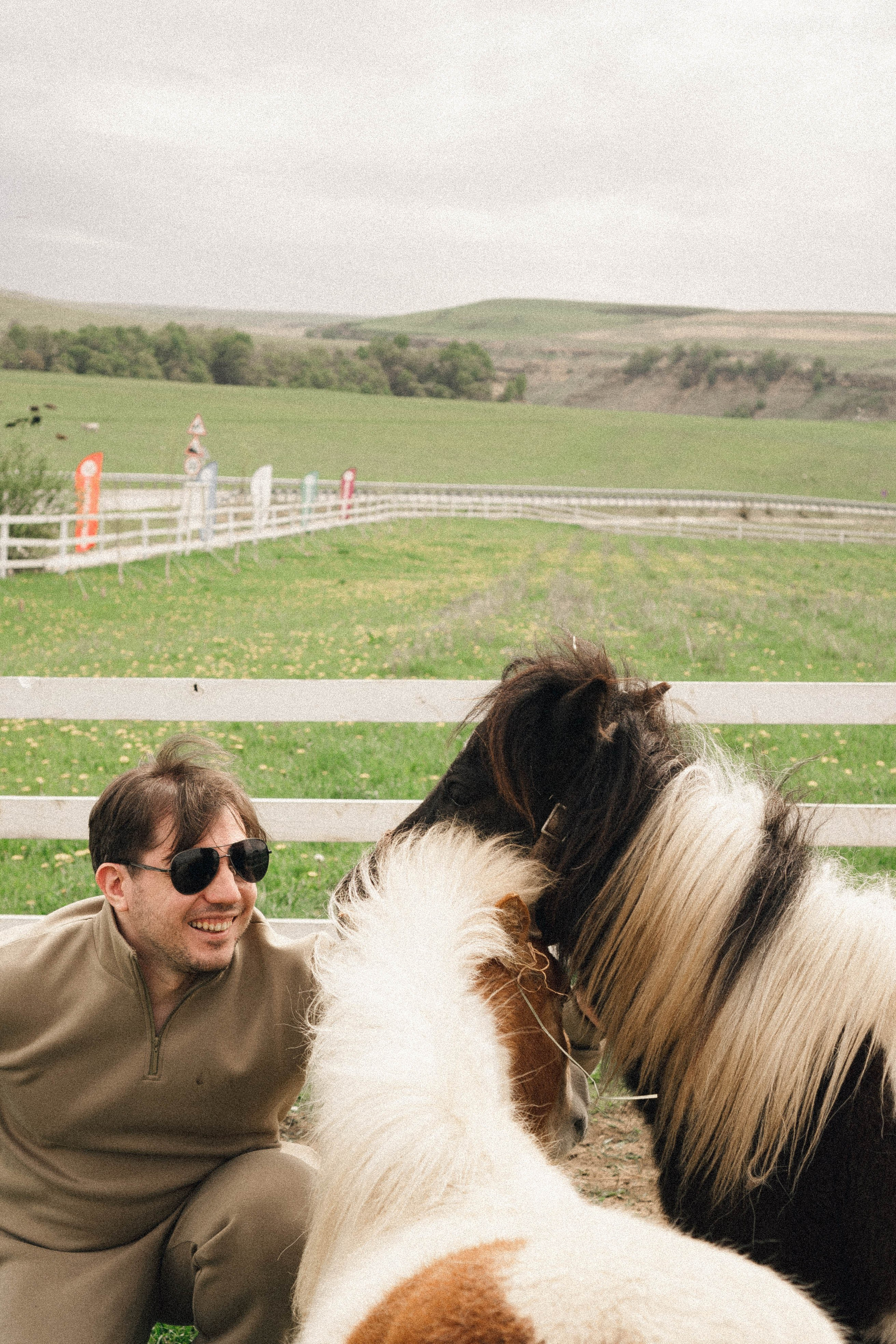 Ферма Альпак. Профессиональный фотограф, Санкт-Петербург — Виктория Богомолова