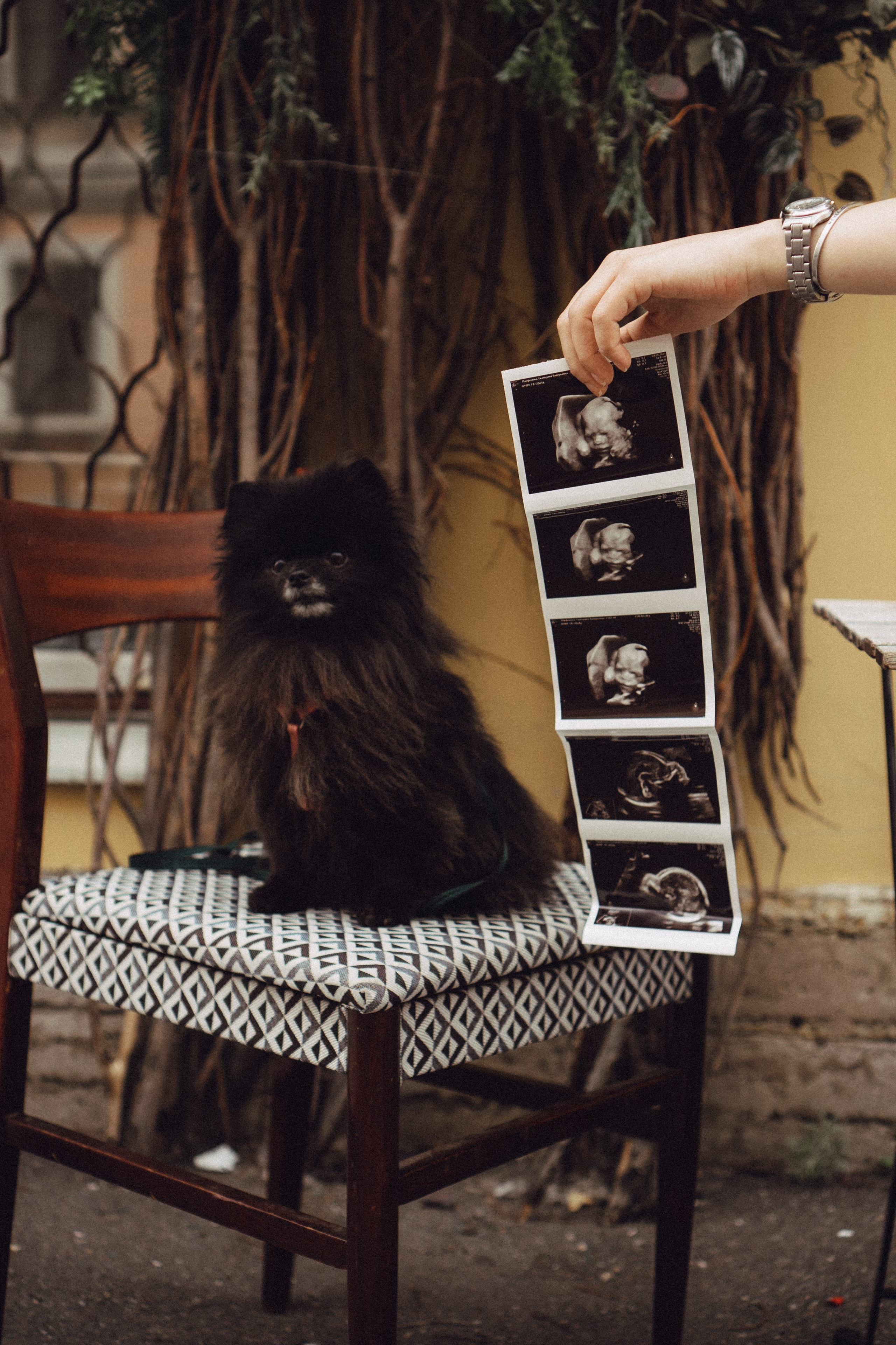 Беременность (только часть фото по желанию клиентов могу показать)). Профессиональный фотограф, Санкт-Петербург — Виктория Богомолова