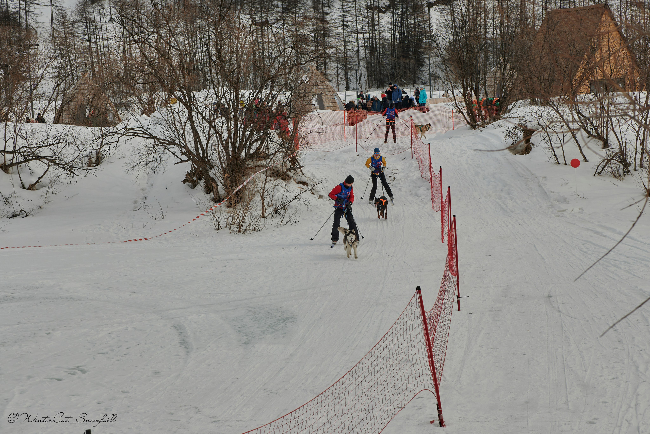 Дзяблу 30.03. Портретный и репортажный фотограф в Магадане Андрей Нефедов WinterCatPhoto