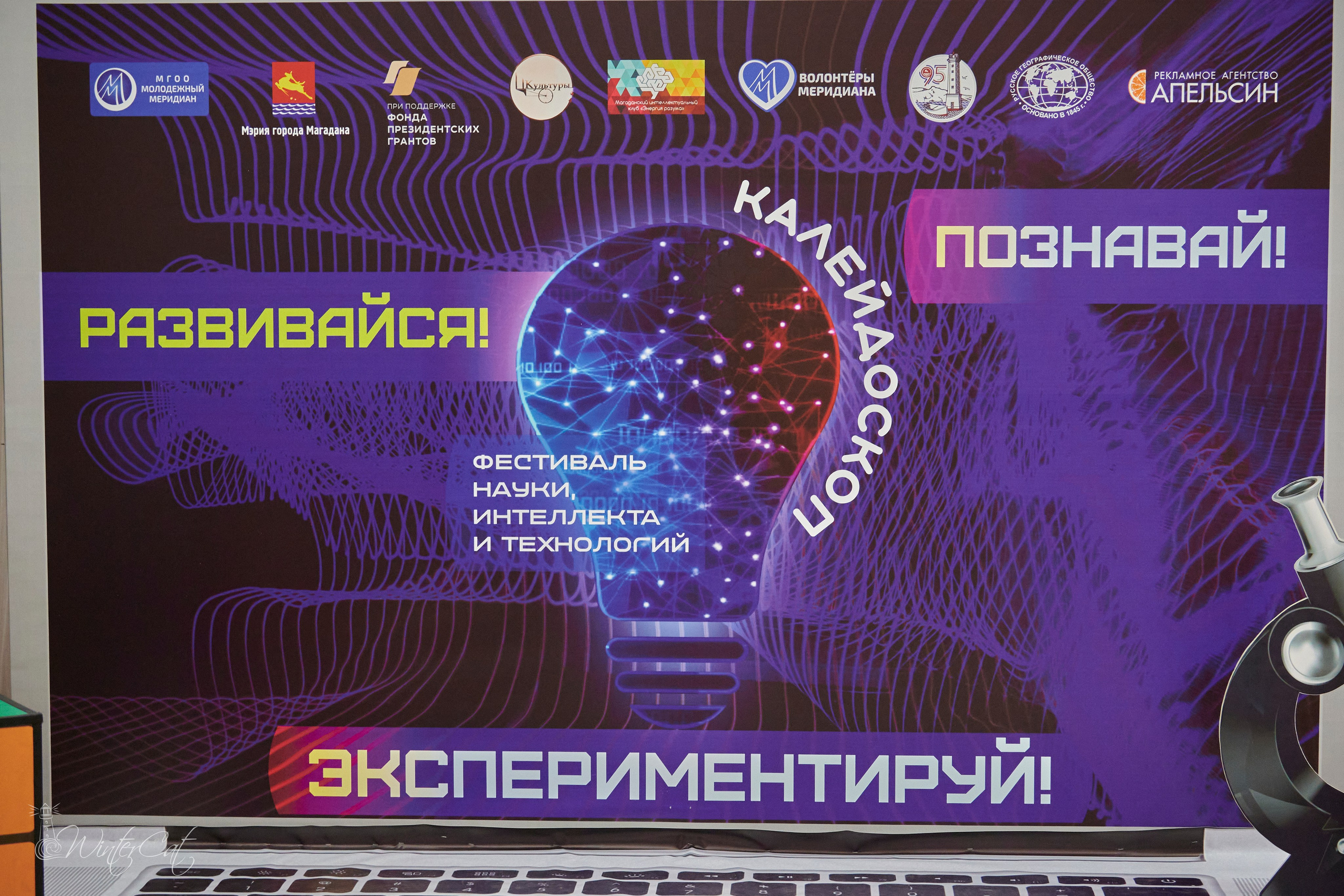 Калейдоскоп МЦК 28.09.24. Портретный и репортажный фотограф в Магадане Андрей Нефедов WinterCatPhoto