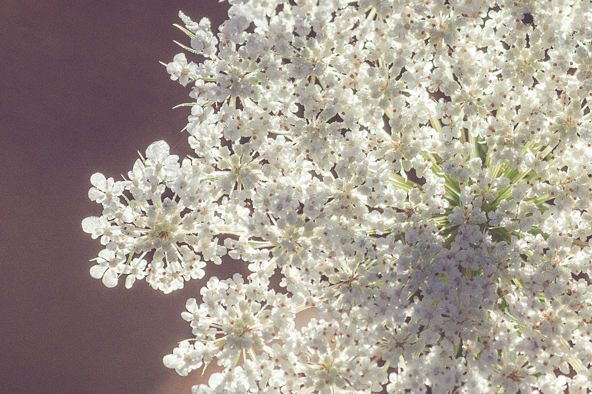 Фрагменты. Фотограф в Петербурге Татьяна Гуляева