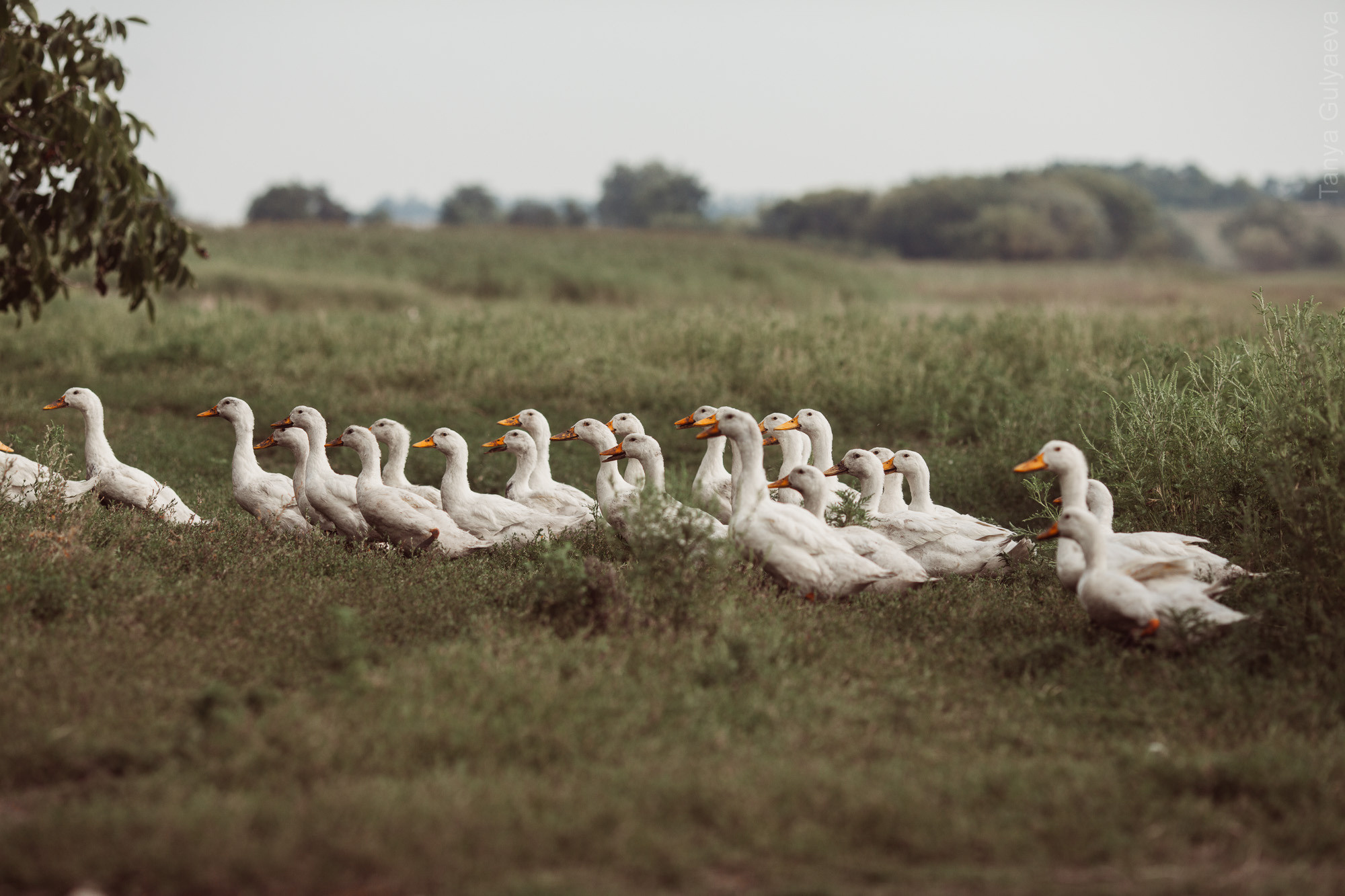 Фрагменты. Фотограф в Петербурге Татьяна Гуляева