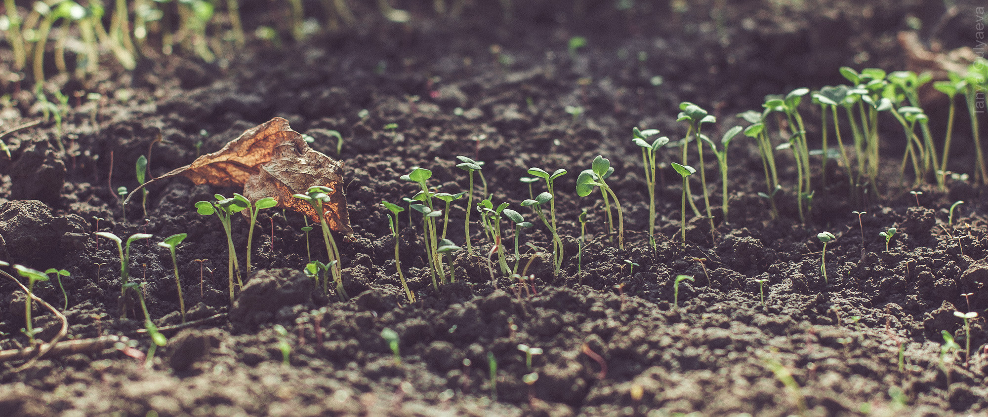 Фрагменты. Фотограф в Петербурге Татьяна Гуляева