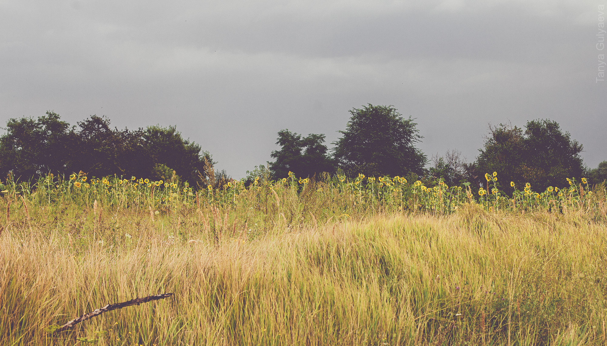 Фрагменты. Фотограф в Петербурге Татьяна Гуляева