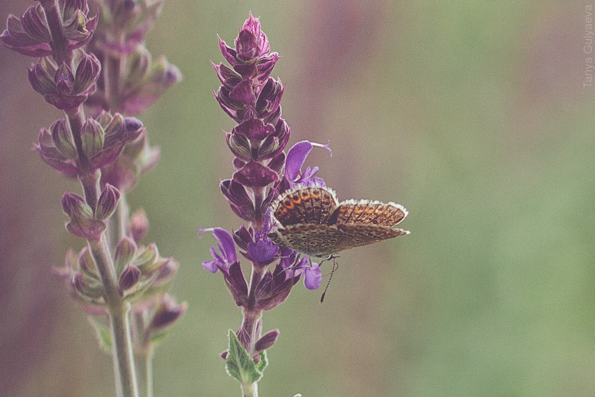 Фрагменты. Фотограф в Петербурге Татьяна Гуляева