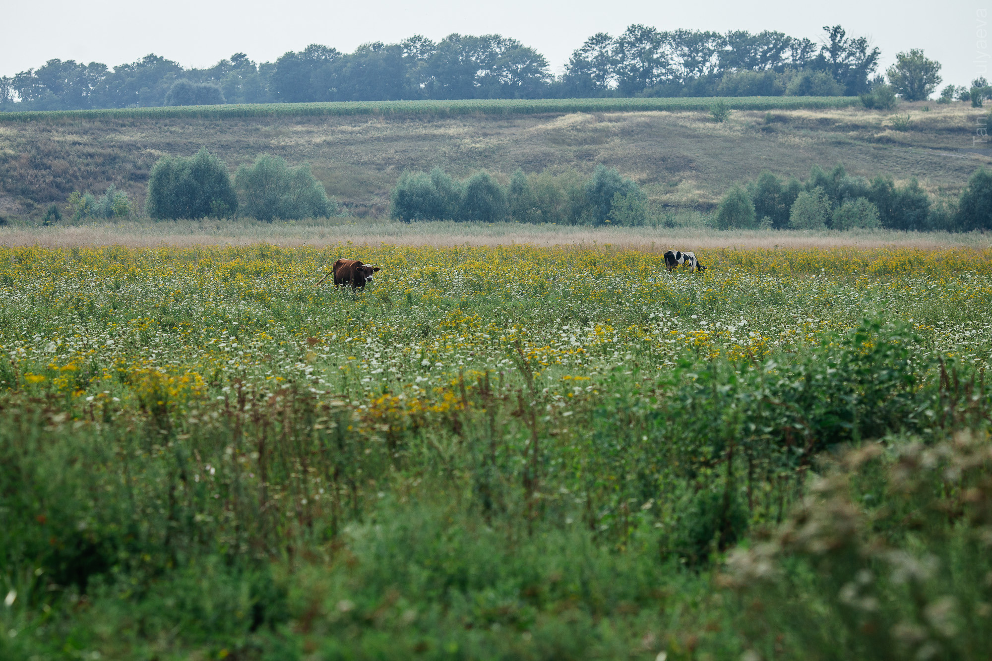 Фрагменты. Фотограф в Петербурге Татьяна Гуляева
