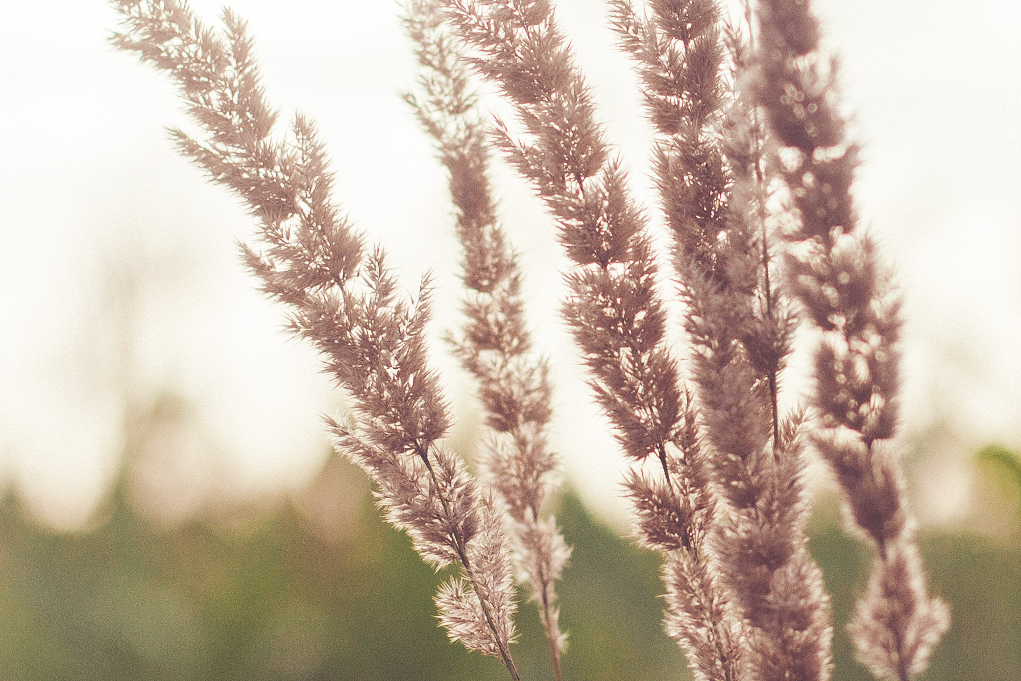 Фрагменты. Фотограф в Петербурге Татьяна Гуляева