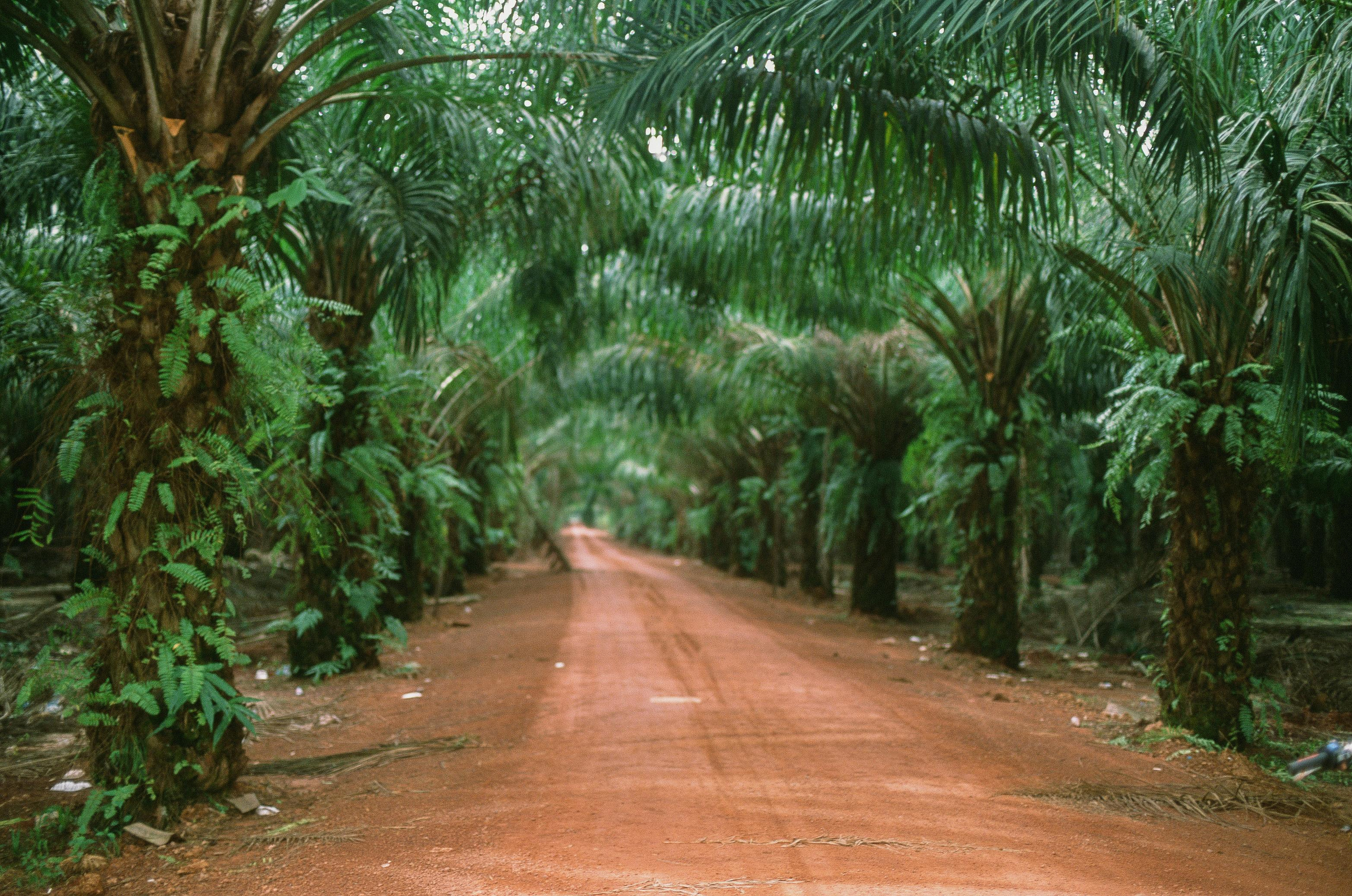 Камбоджа. Фотограф в Петербурге Татьяна Гуляева
