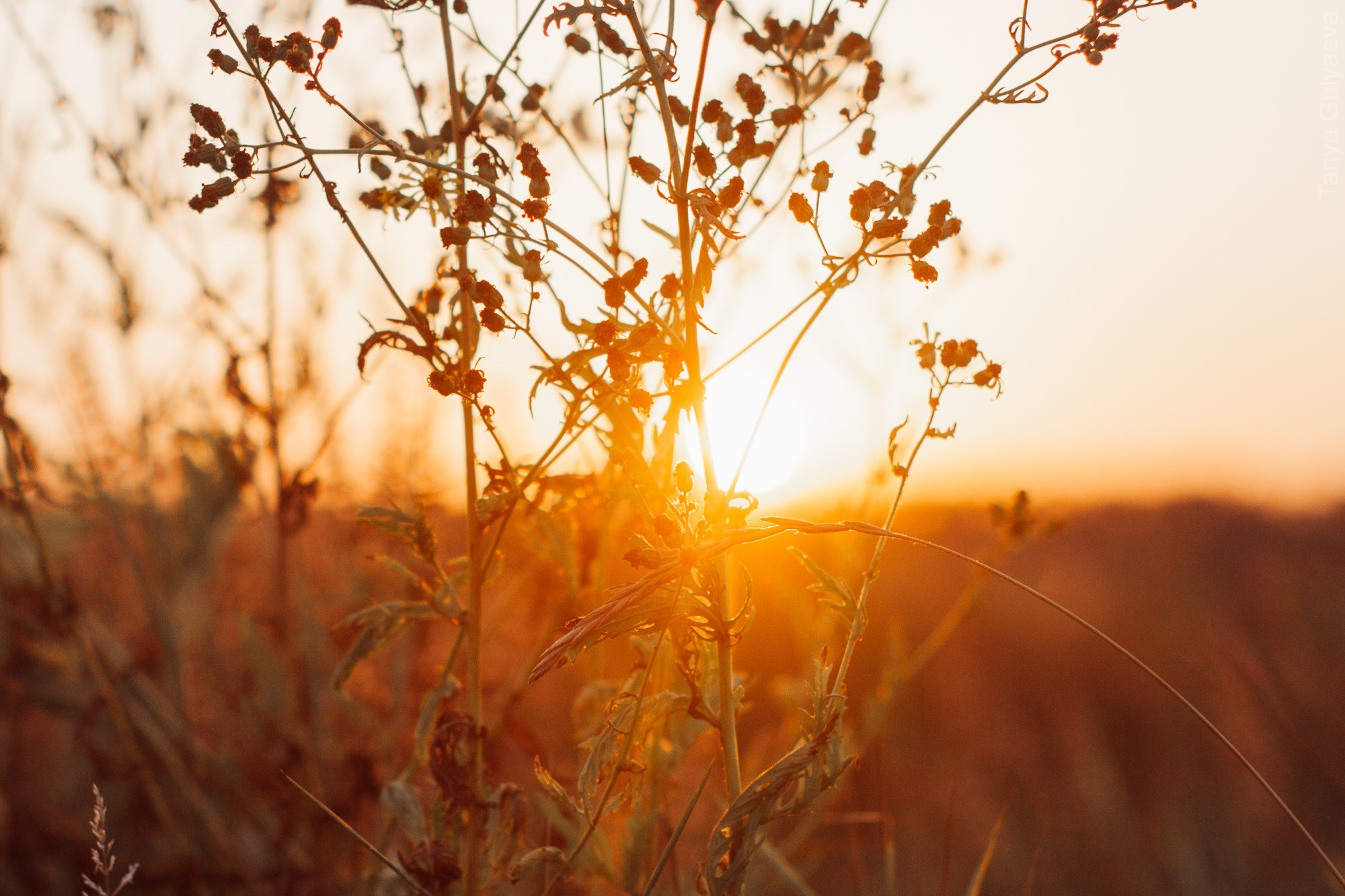 Фрагменты. Фотограф в Петербурге Татьяна Гуляева