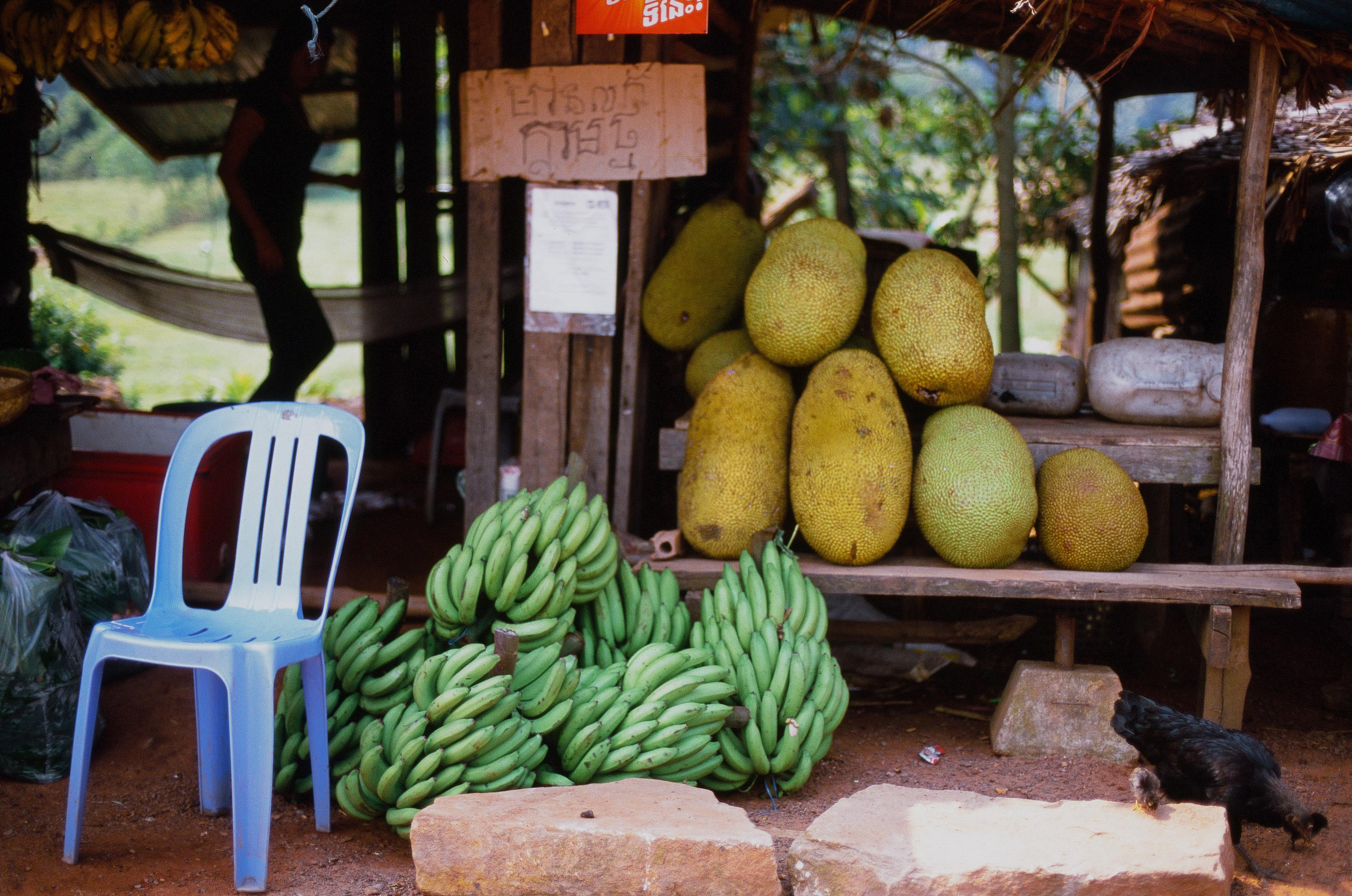 Камбоджа. Фотограф в Петербурге Татьяна Гуляева