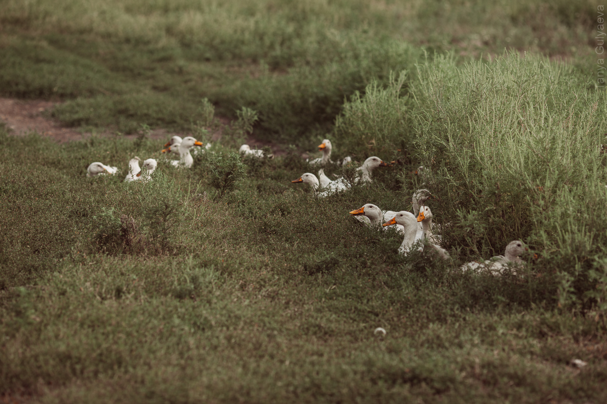 Фрагменты. Фотограф в Петербурге Татьяна Гуляева