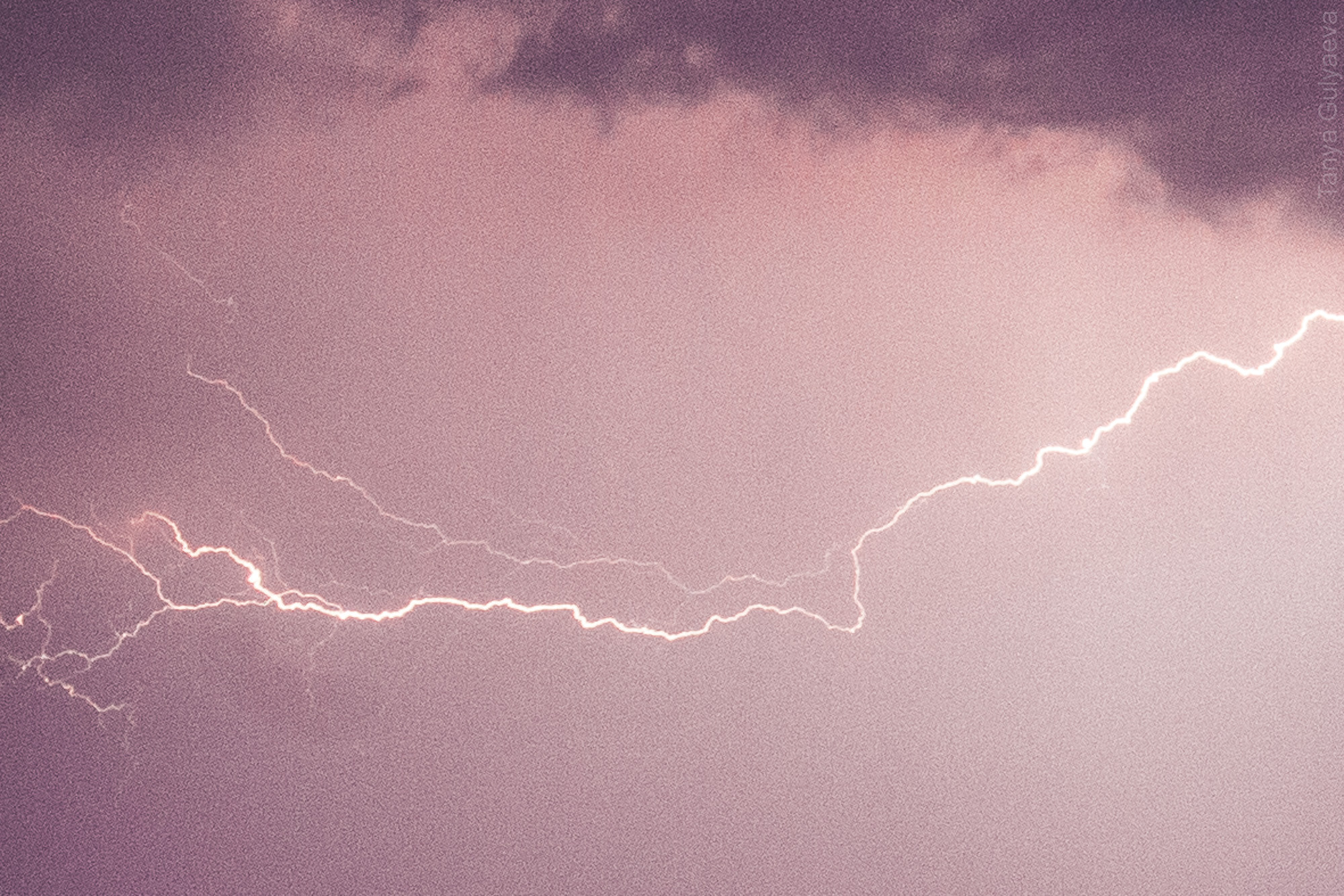 Фрагменты. Фотограф в Петербурге Татьяна Гуляева