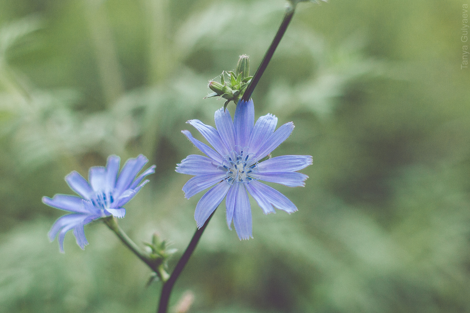 Фрагменты. Фотограф в Петербурге Татьяна Гуляева