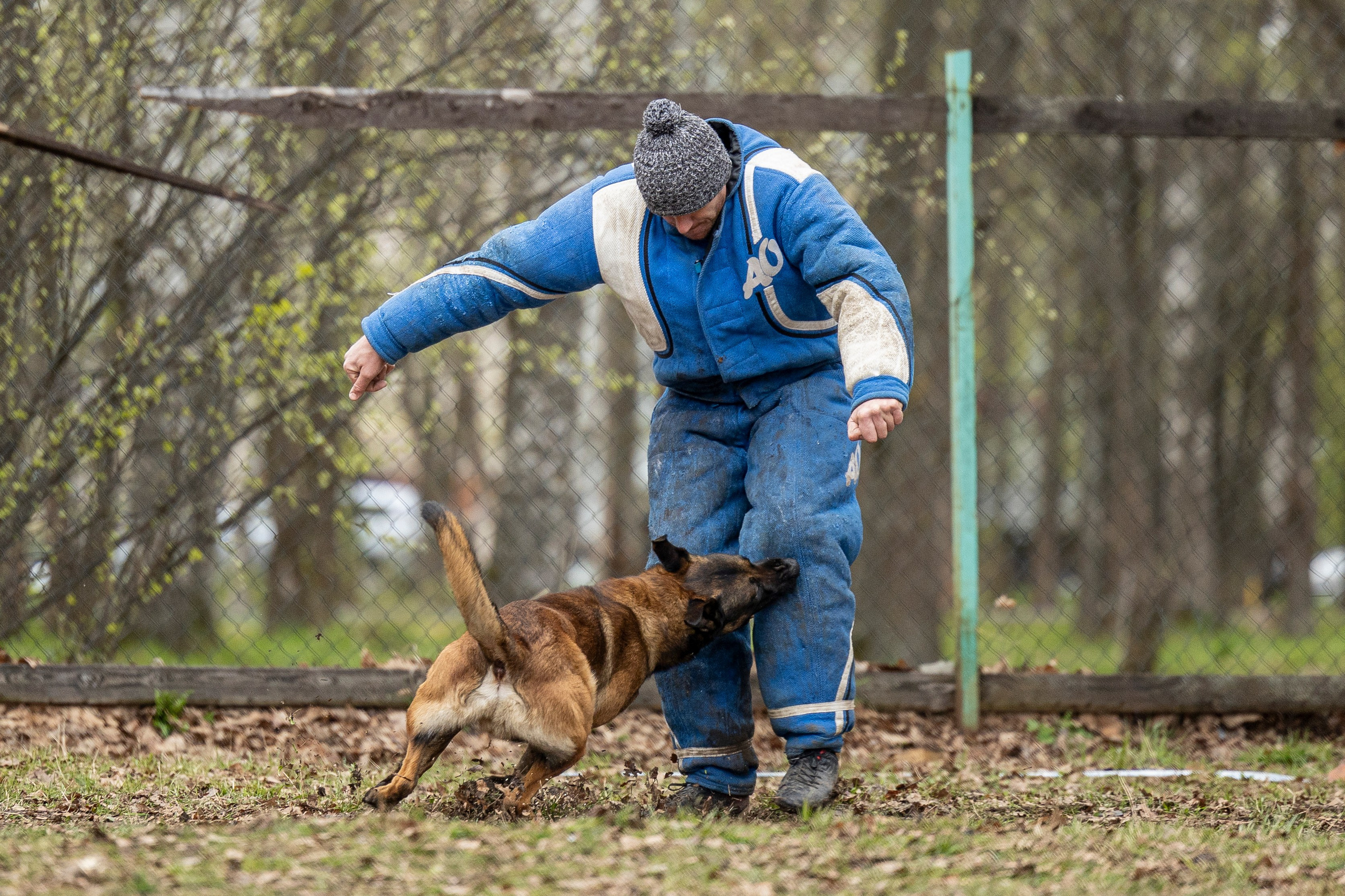 Квалификационные состязания по мондьорингу г. Вологда 11.05.24. Фотограф-анималист Анна Маринич