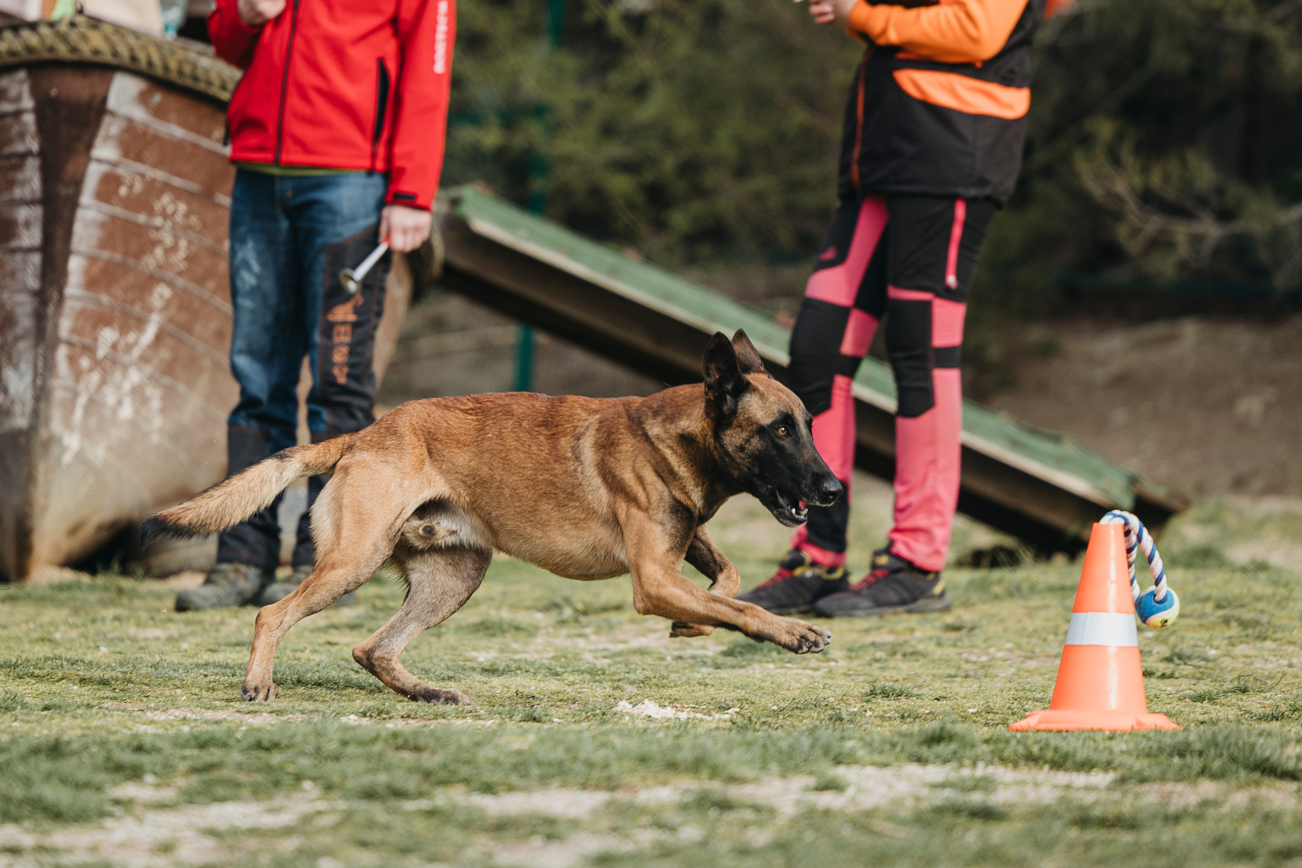 Геленджик Мондьоринг. Фотограф-анималист Анна Маринич