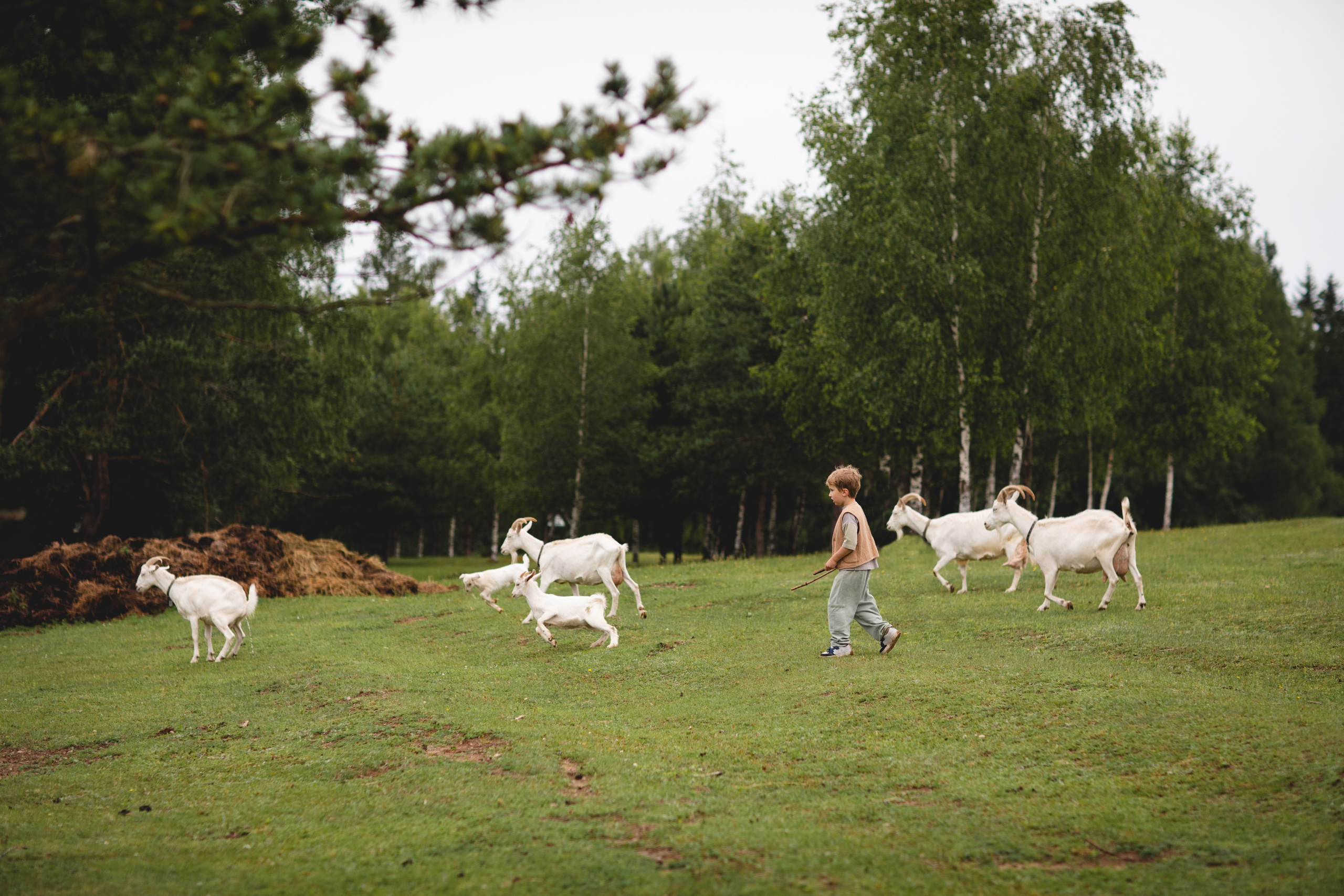 Фототуур «Край озёр» Лето. Семейный фотограф в Москве Анастасия Гурьянова