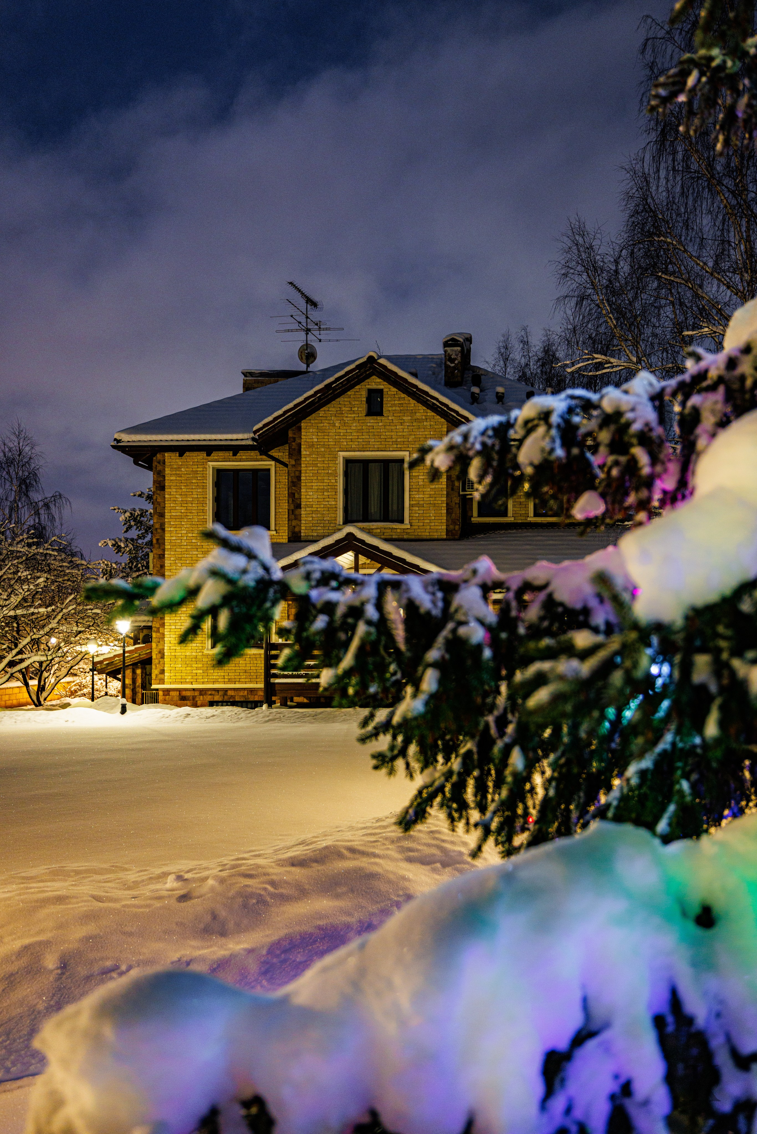 Природа 31 Декабря 2025 года. Клены. Фотографирую жизнь! Московский фотограф волонтер