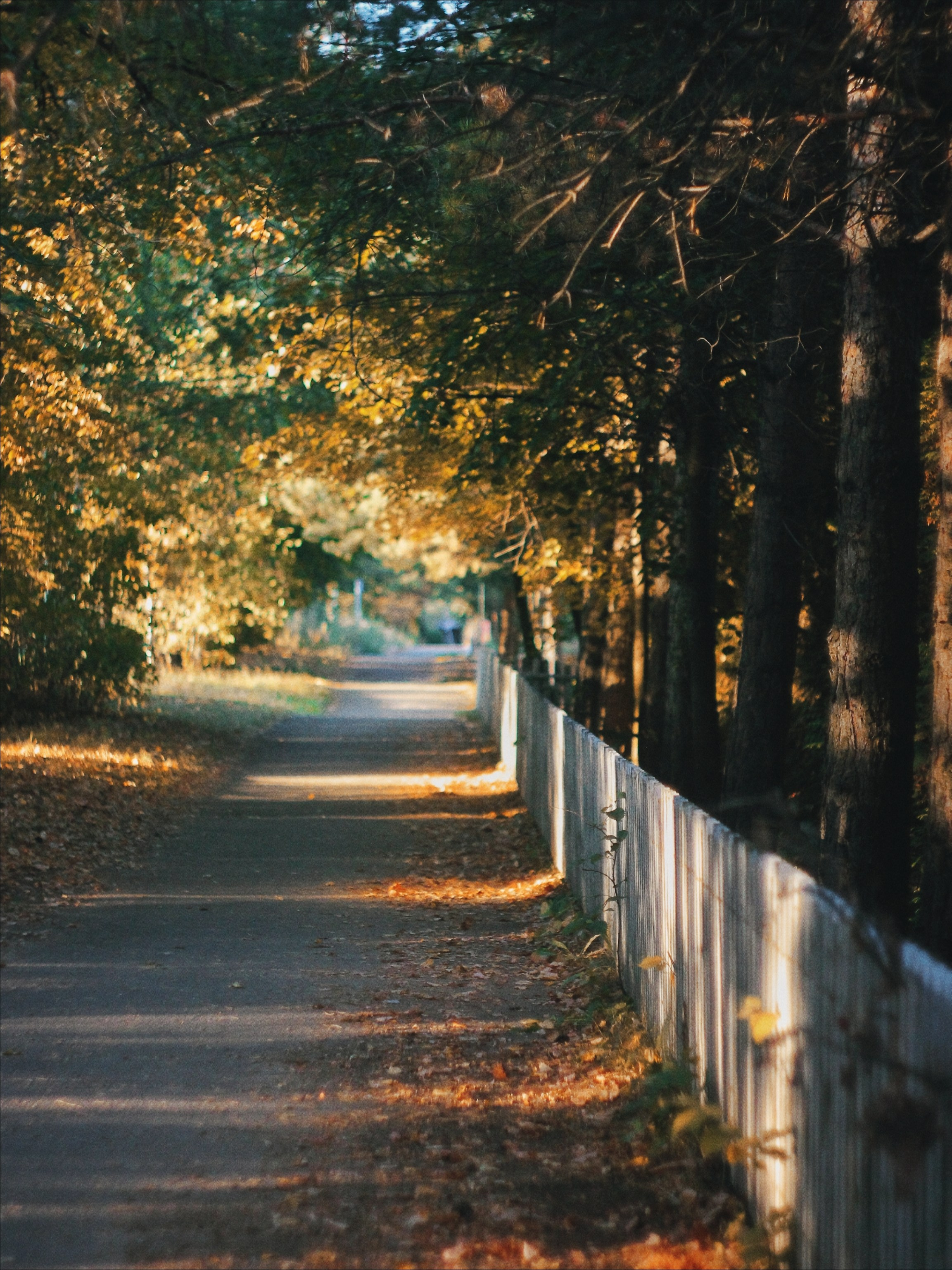 Эфемерность моментов. С любовью, фотохудожник