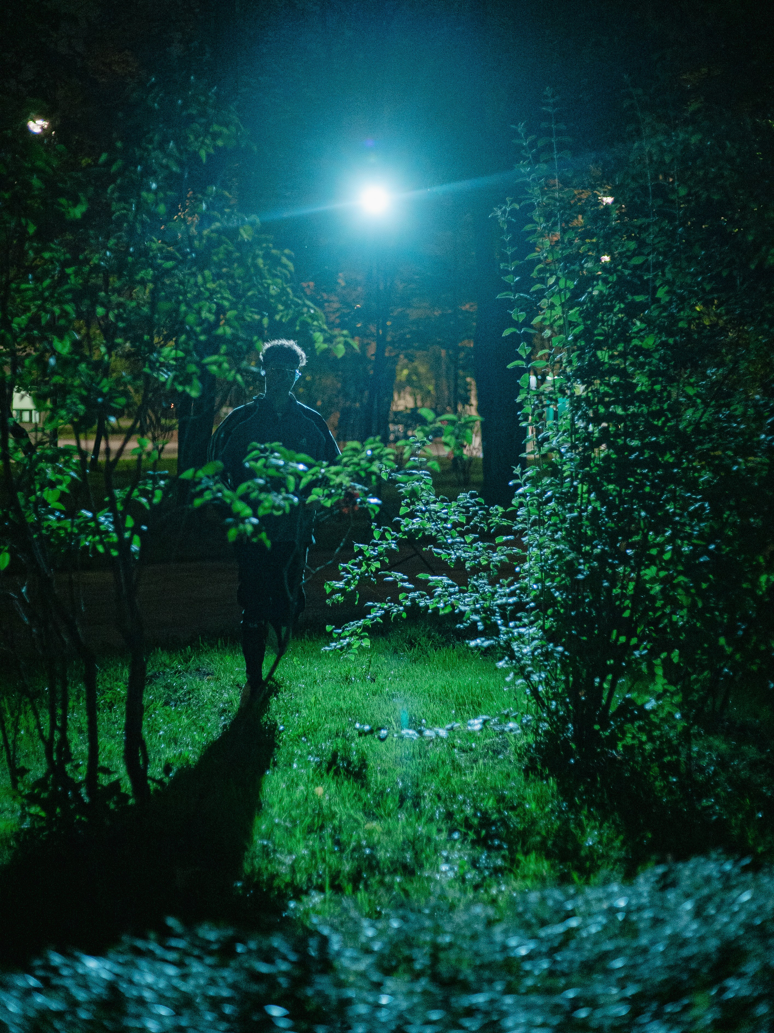 Огни. Андрей Партнов — фотогрраф, Москва