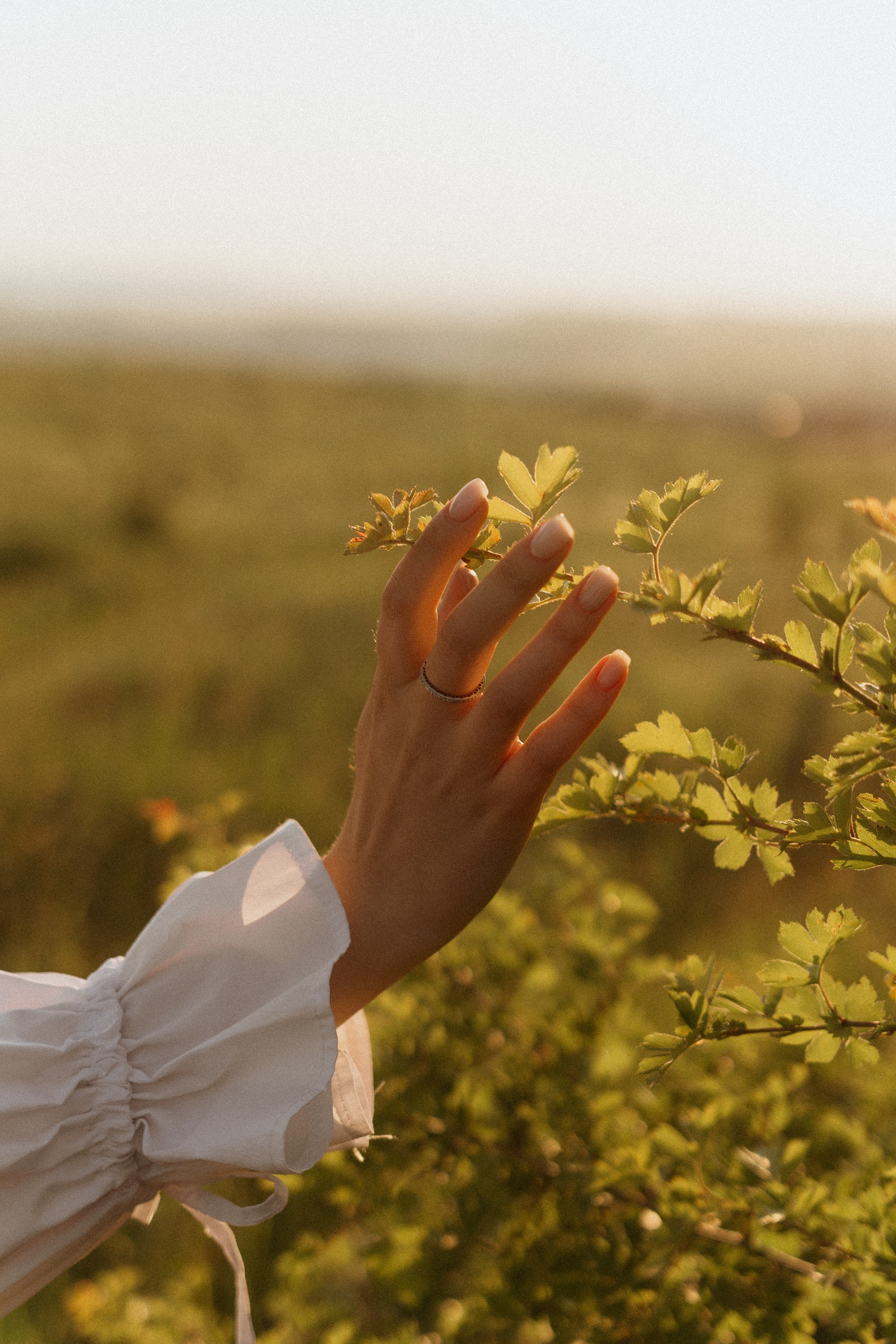 MARINA & SEMYON | PYATIGORSK. Фотограф Настя Конник | Пятигорск | Эльбрус | Домбай | Архыз