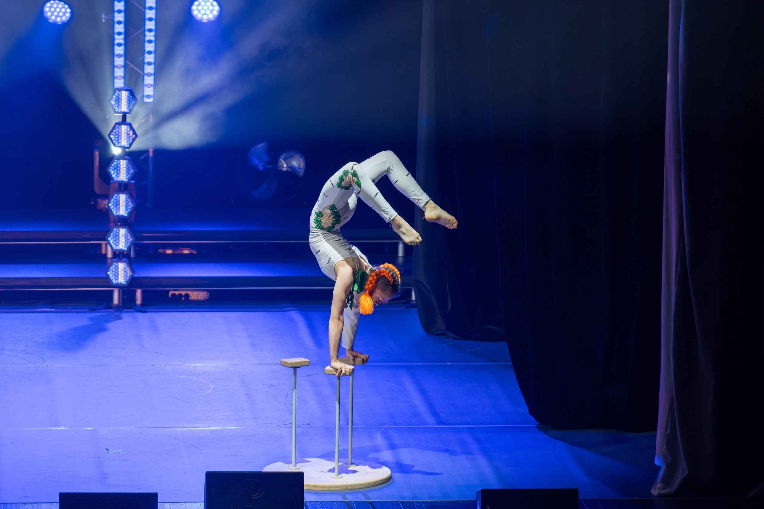 Концерты и выступления. «Студия DRONAVT`s» — видеосъёмка и фотография г. Москва