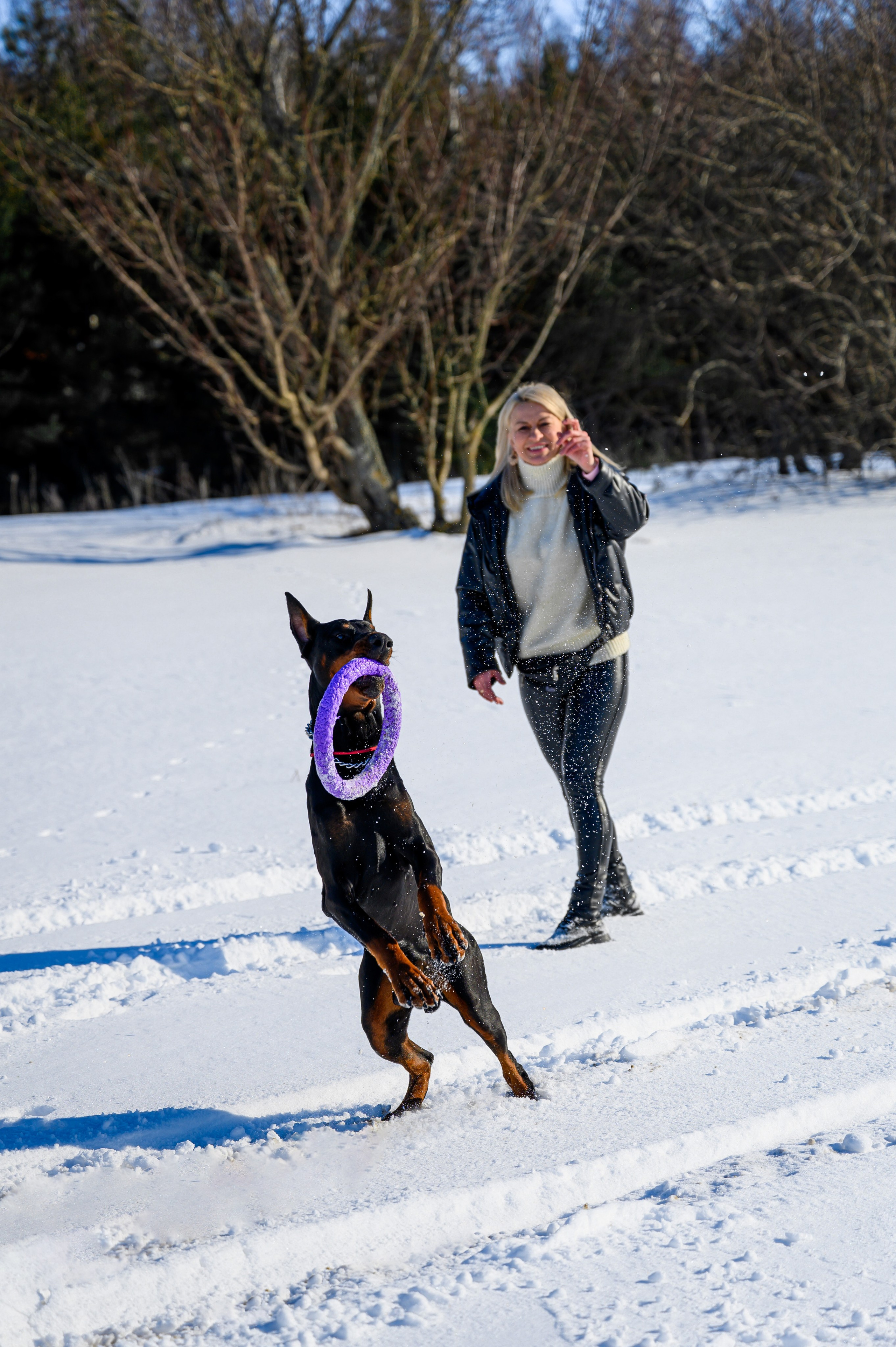 Доберман Рэн. Bazarkom-photo.ru Фотограф Виктор Оськин в Старом Осколе