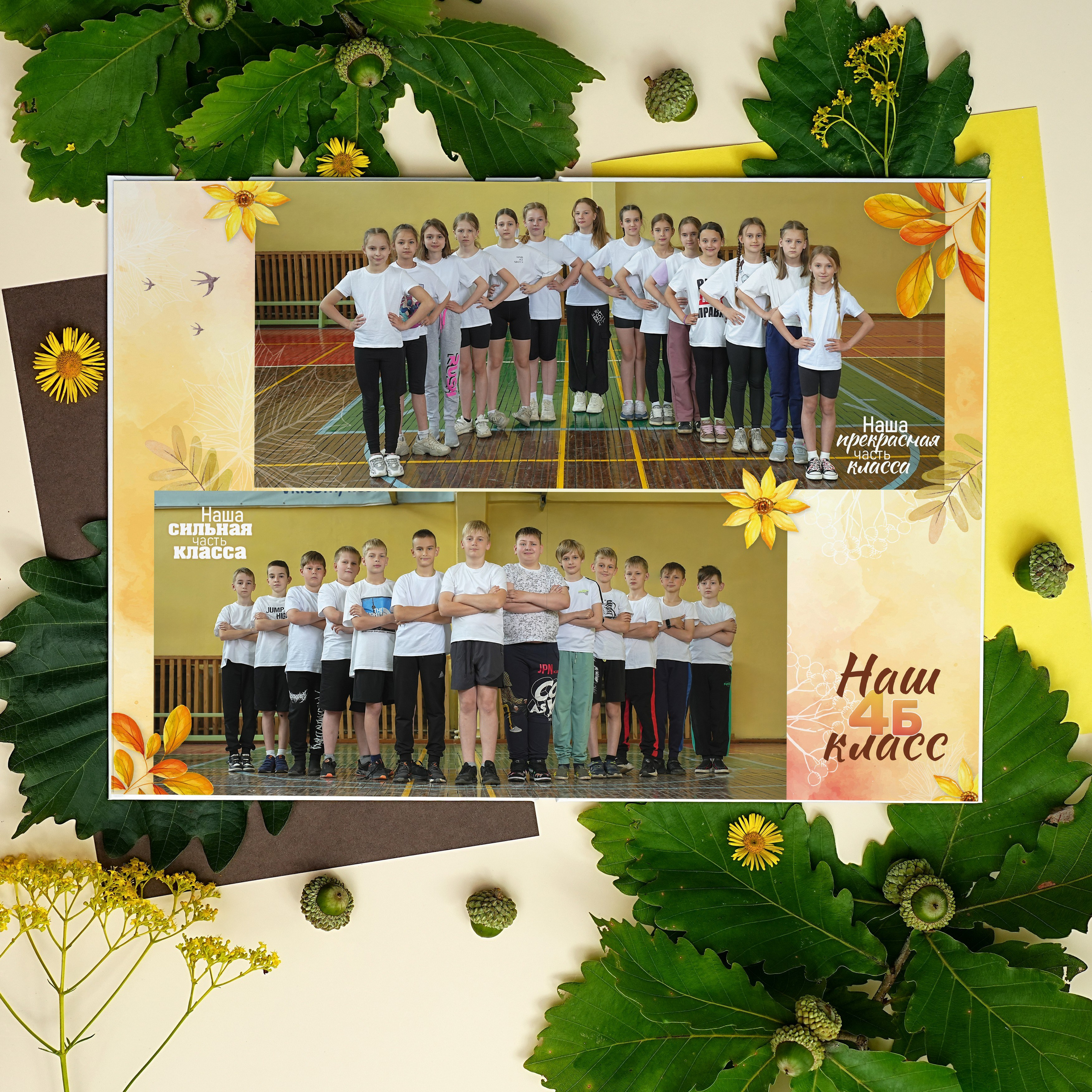 Наши контакты