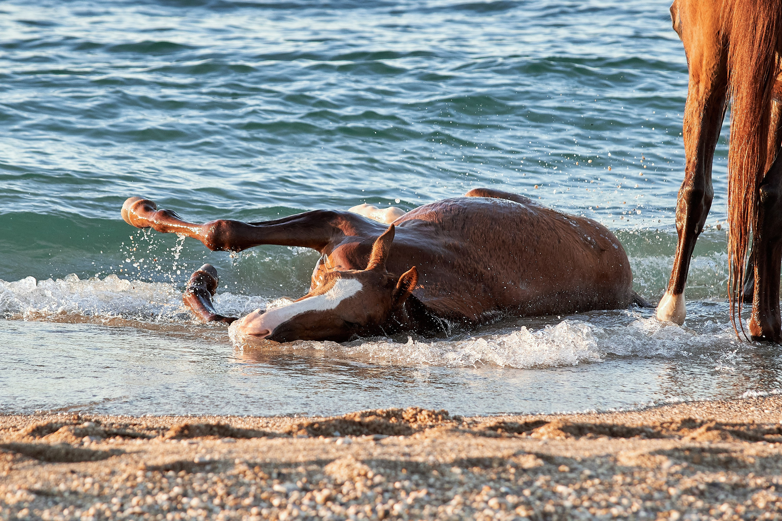 Галактика и Кассиопея. Фотограф в Севастополе