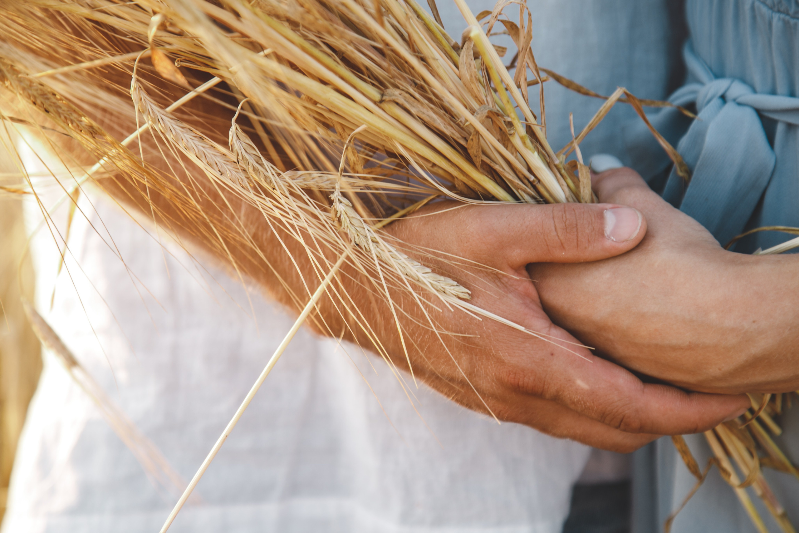 Алексей Полков — ФОТОГРАФ