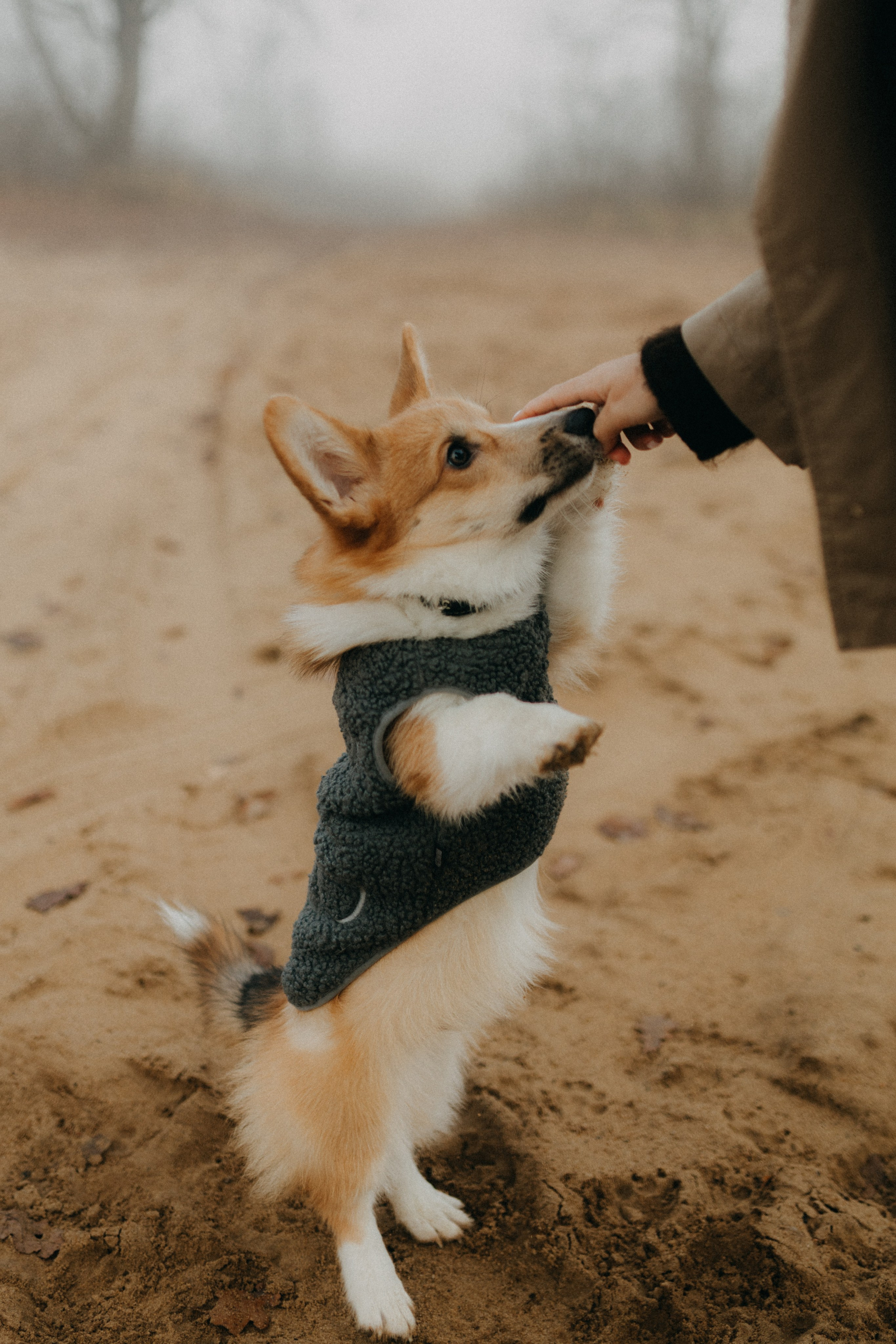 Алина. Фотограф НОГИНСК, Москва, Анастасия Белая