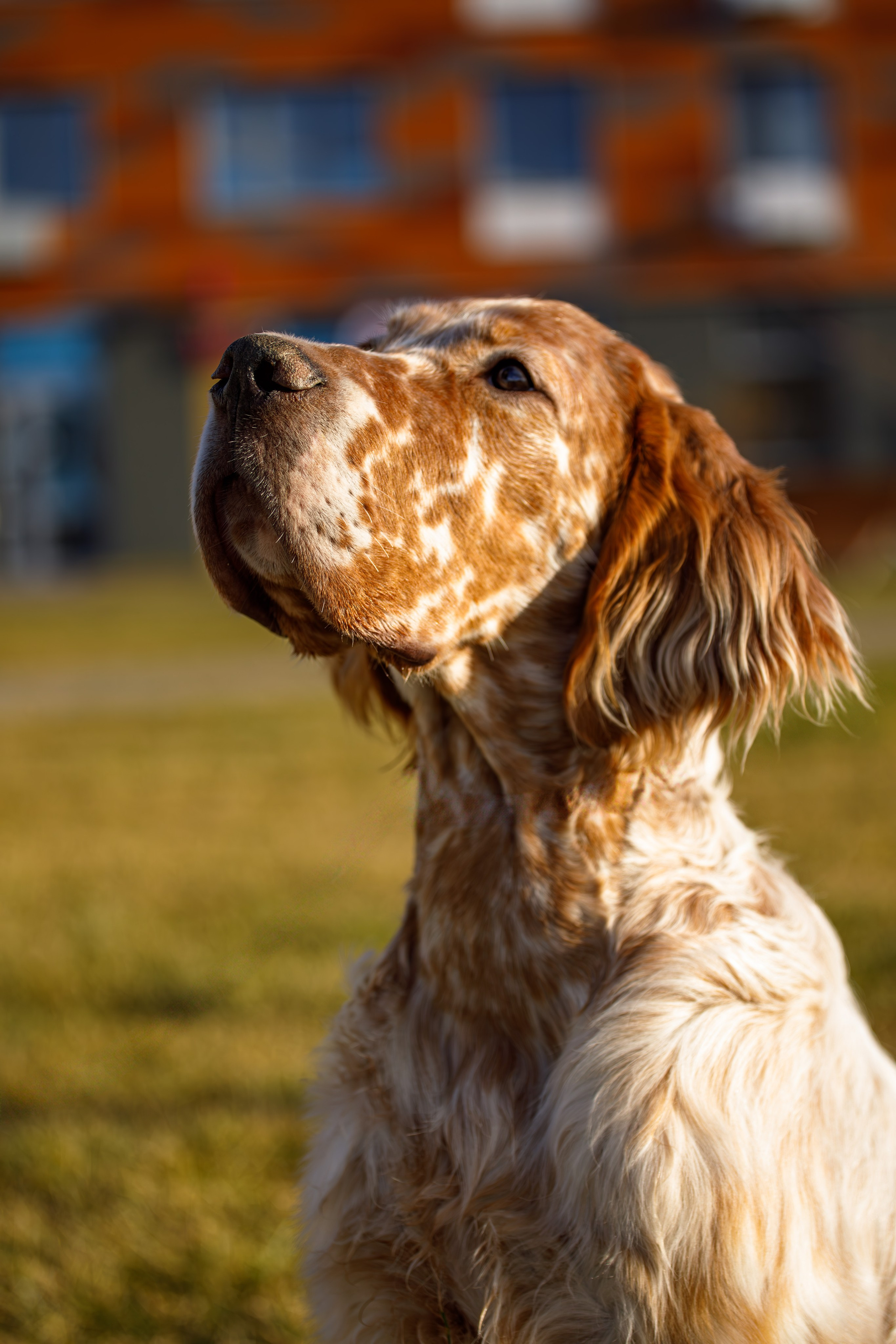 Андрей и Милан. Фотограф Екатерина Козловская