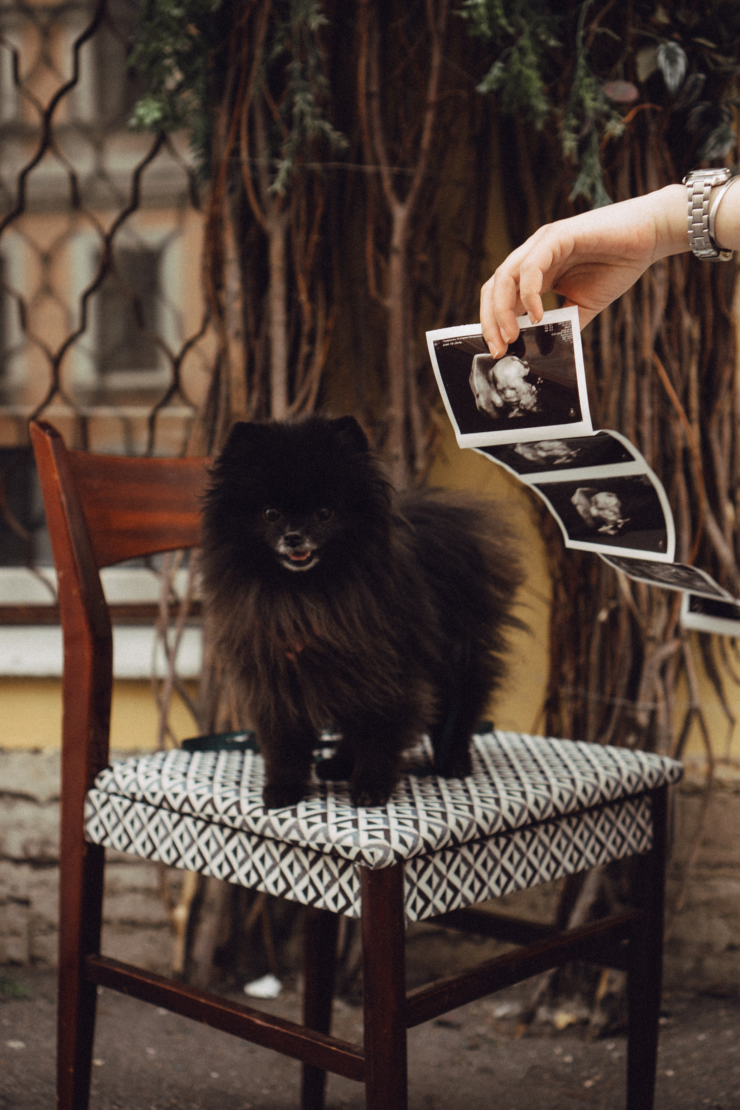 Беременность (только часть фото по желанию клиентов могу показать)). Профессиональный фотограф, Санкт-Петербург — Виктория Богомолова