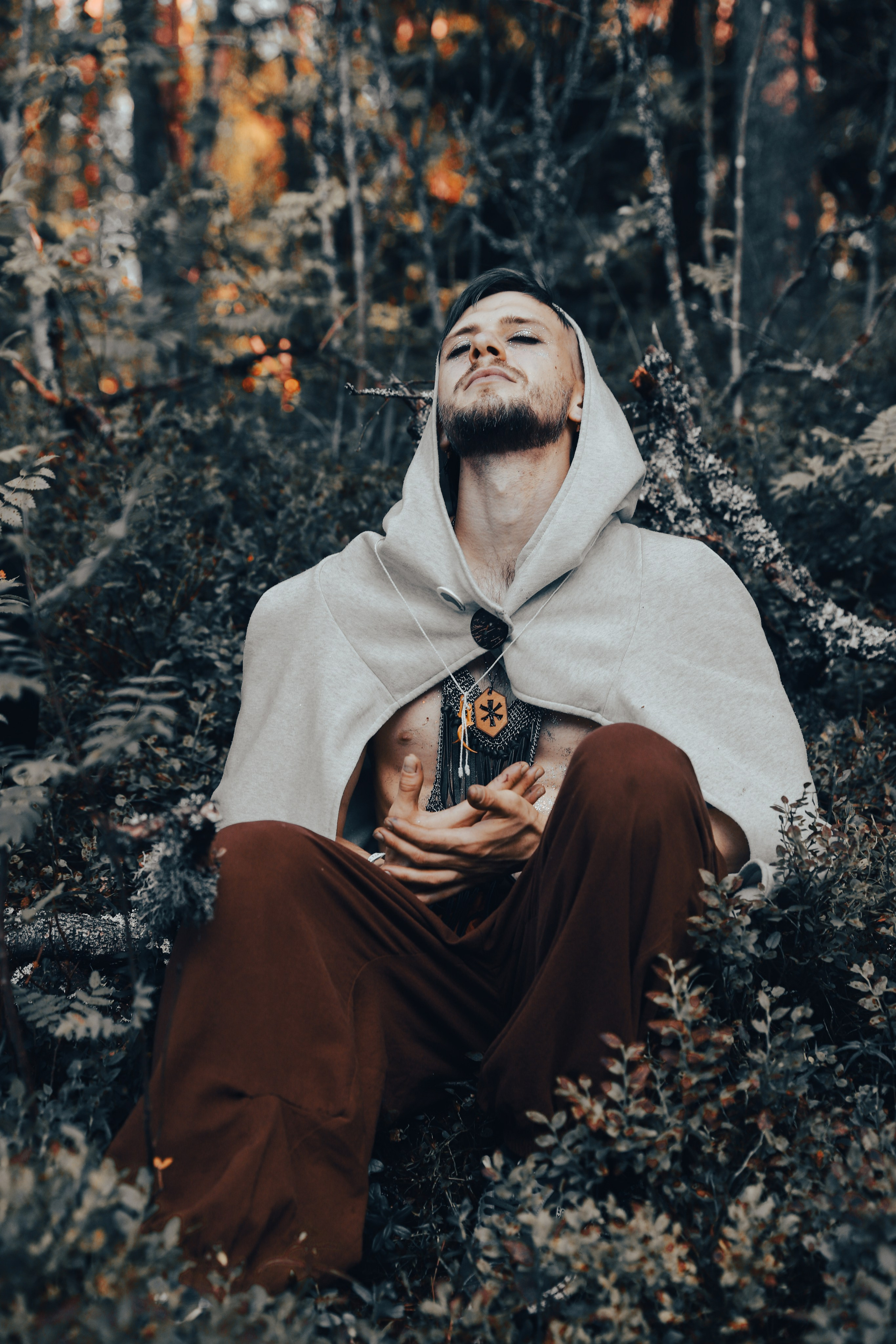 Фестиваль Жива