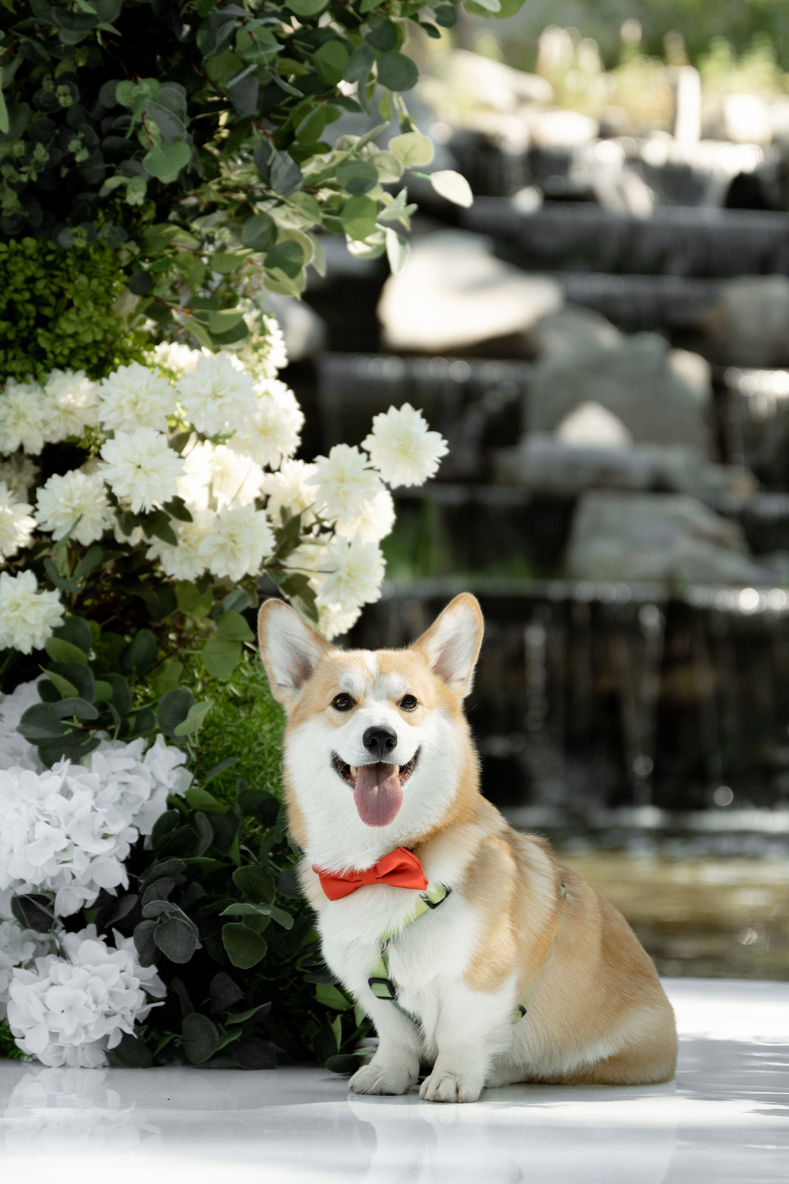 Настя & Егор. Свадебный и семейный фотограф Тюмень Екатеринбург Москвина Алёна