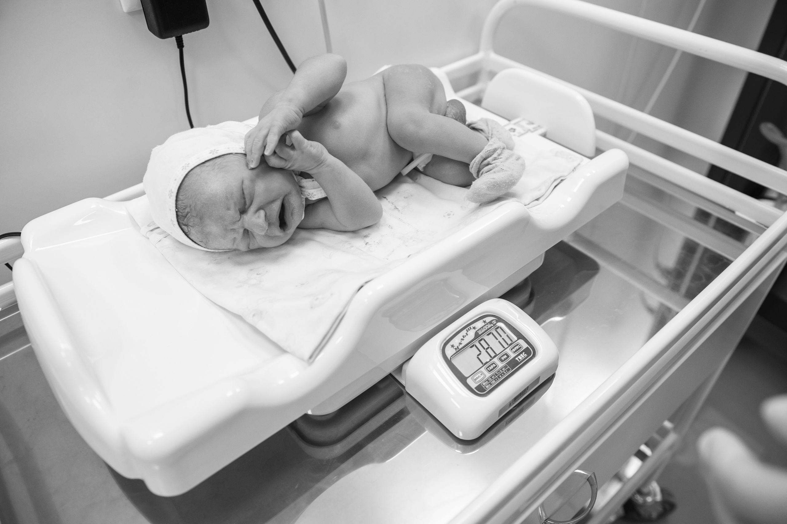 РОДДОМ. Фотограф Вера Демидкова