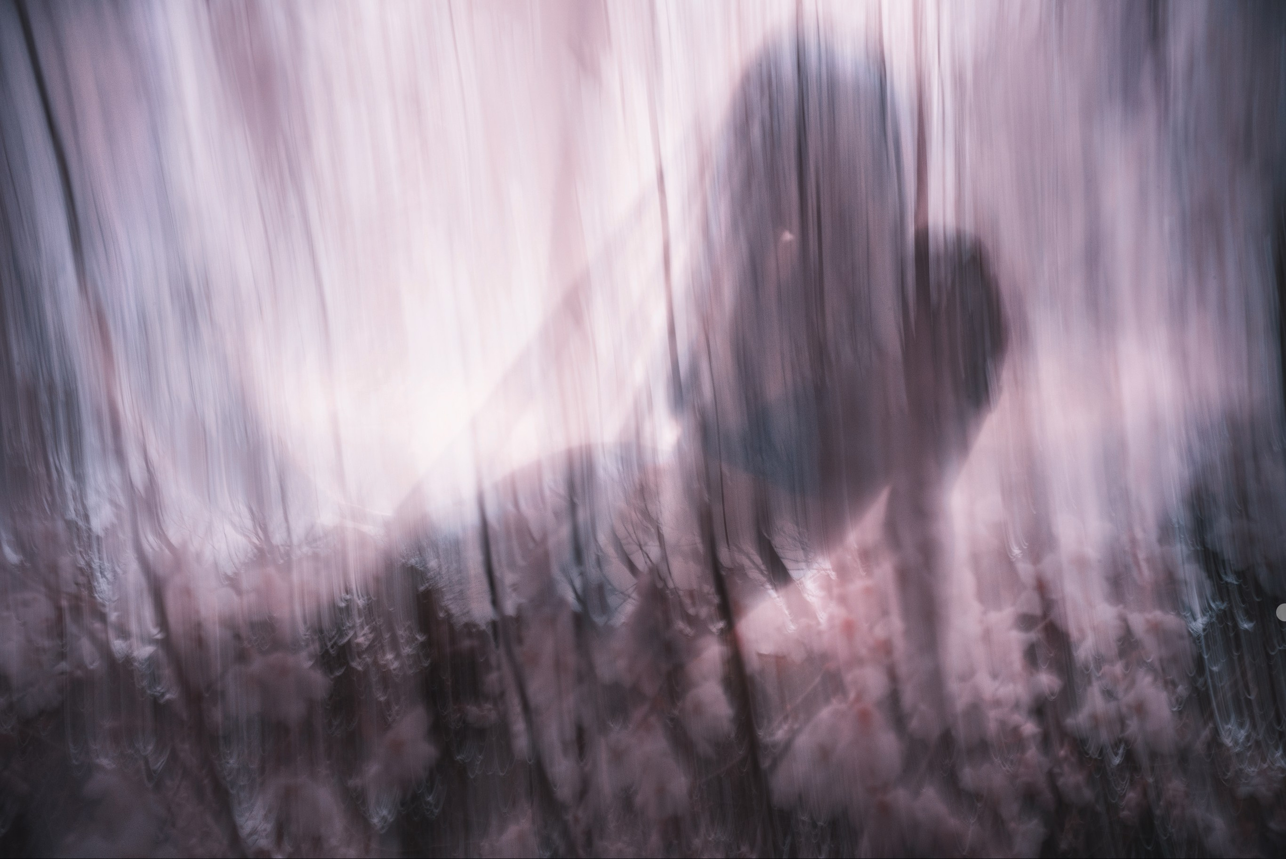 KINDS OF SOLITUDE. International visual artist
