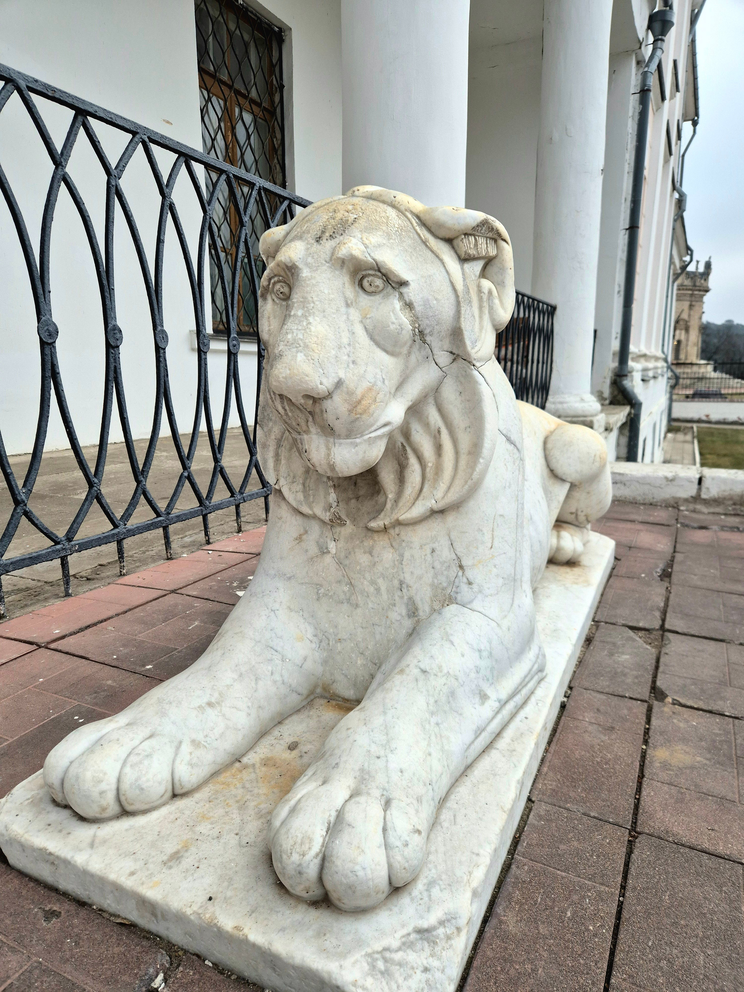 Сейчас в усадьбе находится библиотека института животноводства, и в само здание попасть нельзя.