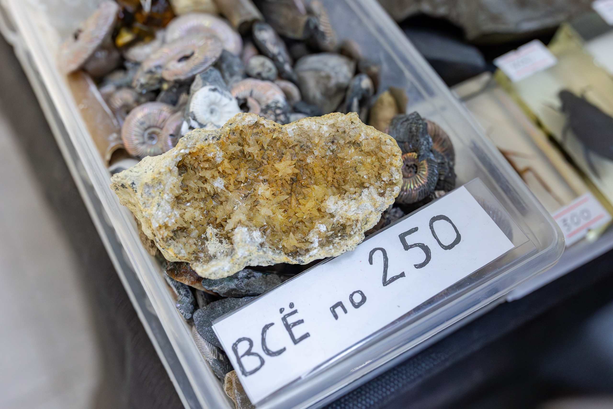 Монстериум апрель 2026. Александра Куликова фотограф, Москва