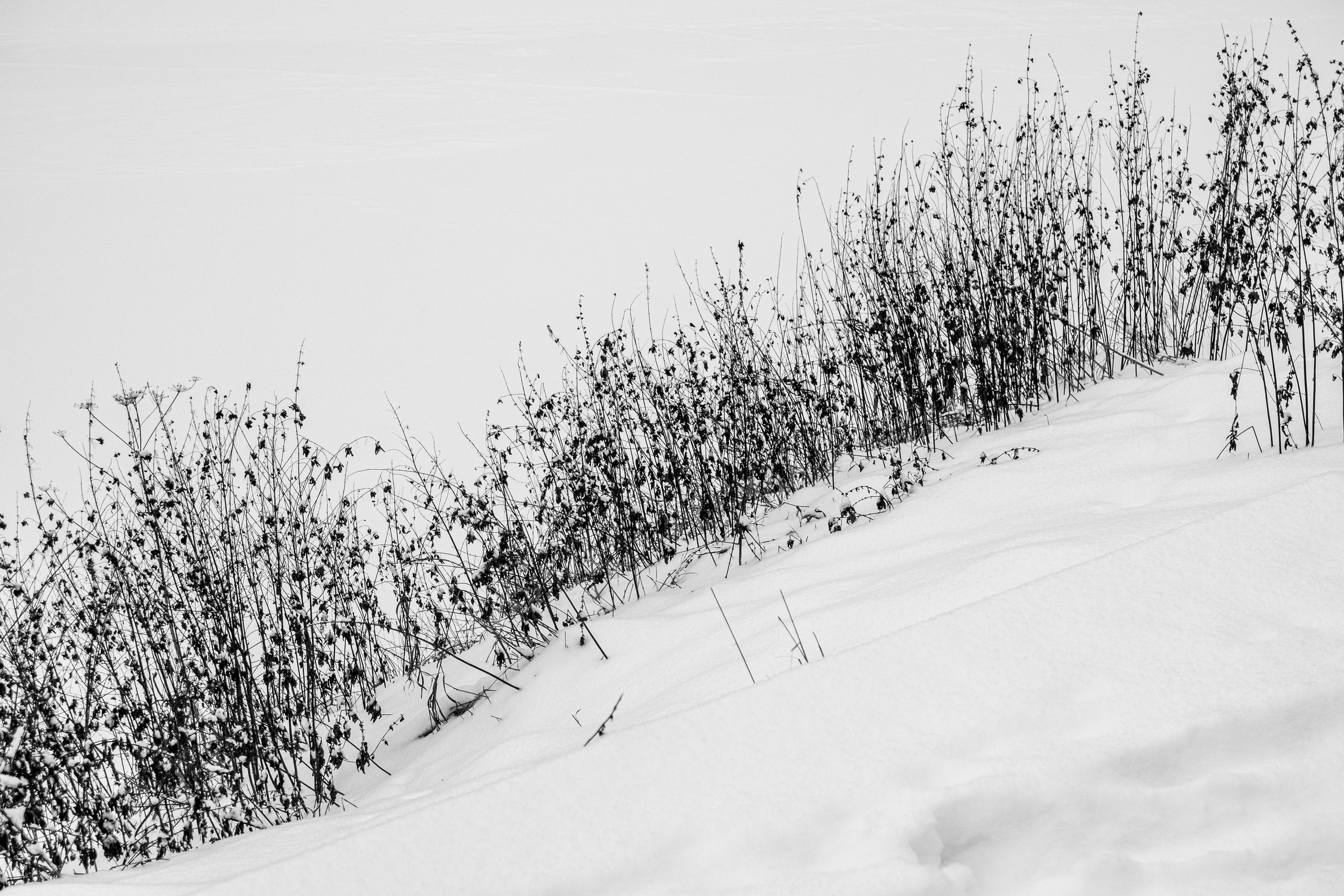 Декабрь. Портретный и архитектурный фотограф в Москве и Санкт-Петербурге