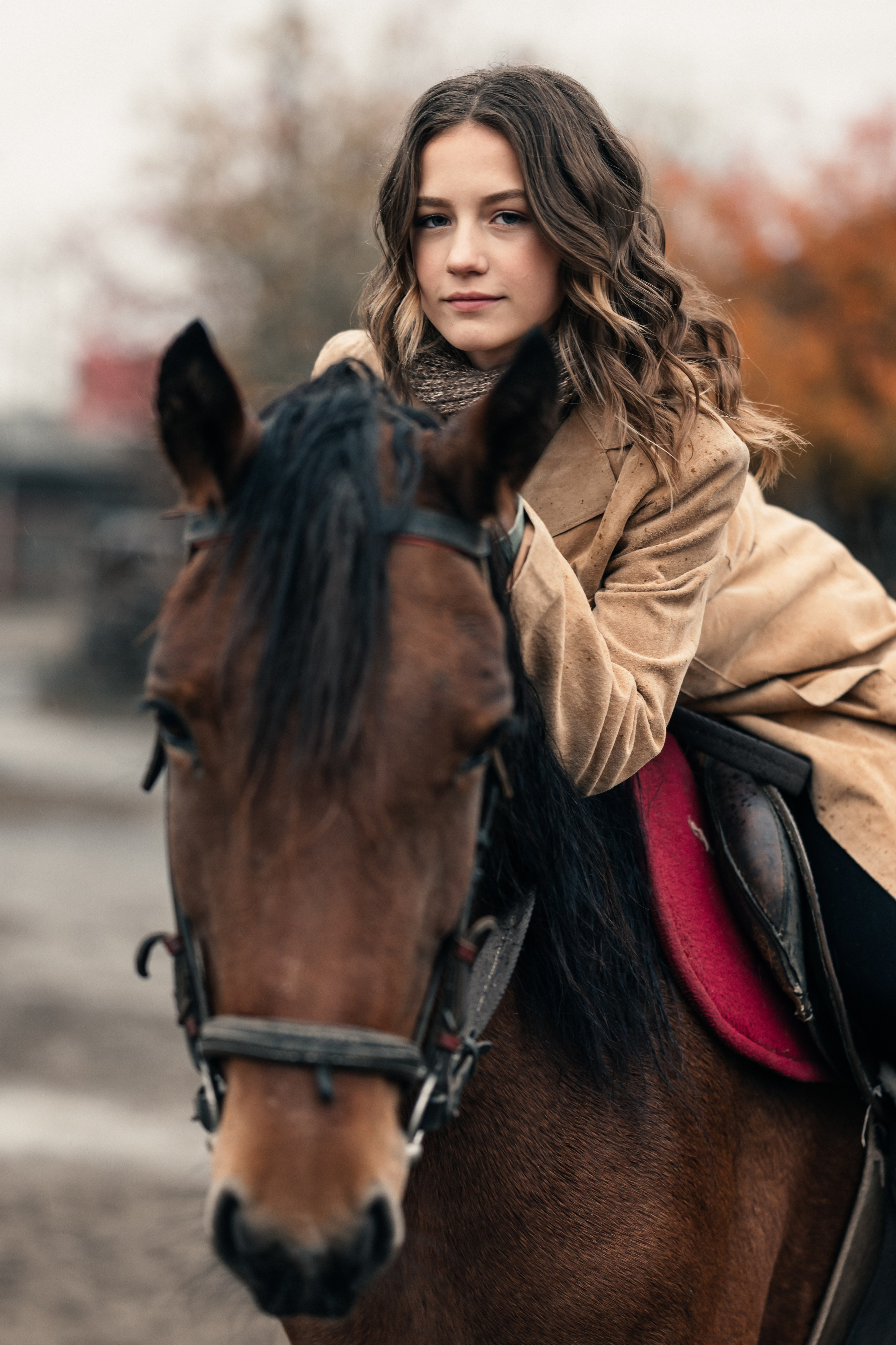 На конюшне. Belichev45foto.ru