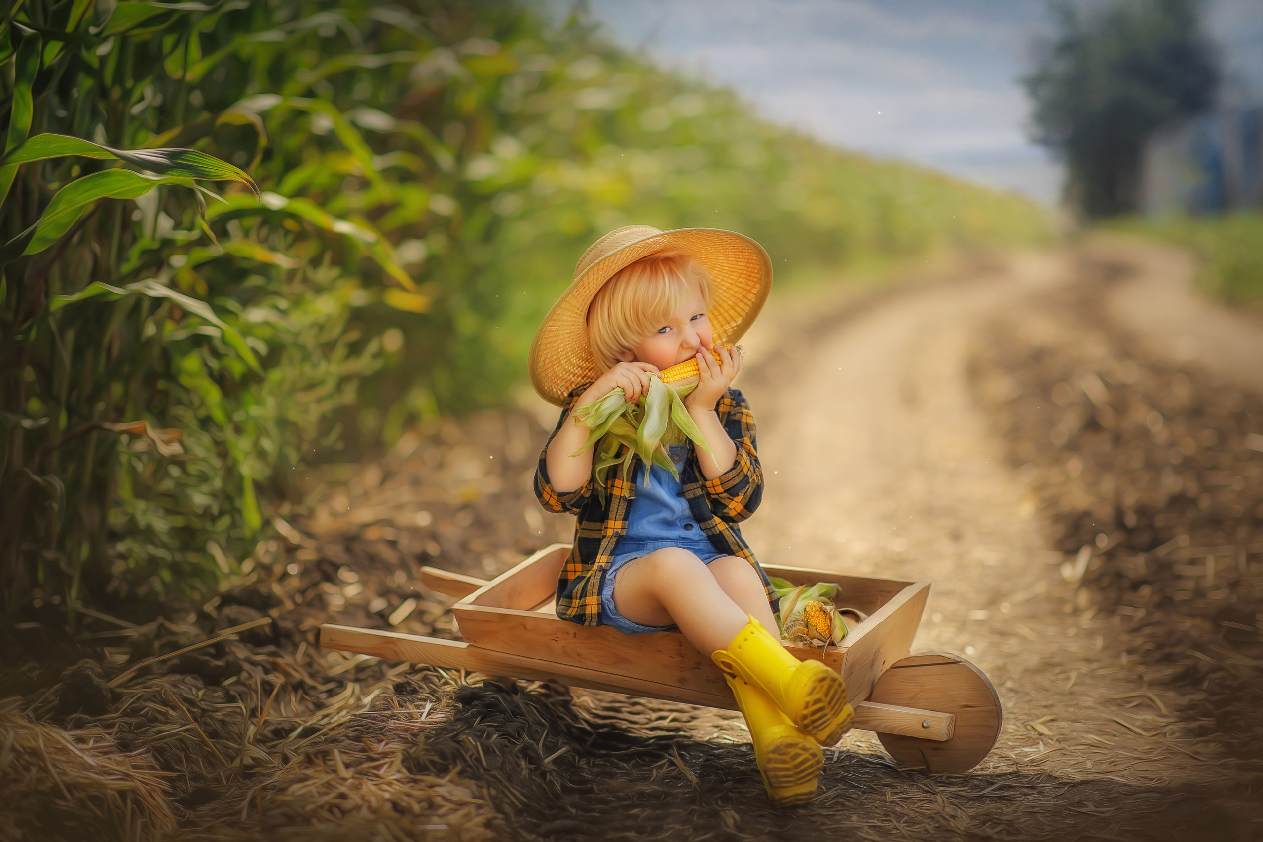 Портфолио. Главная