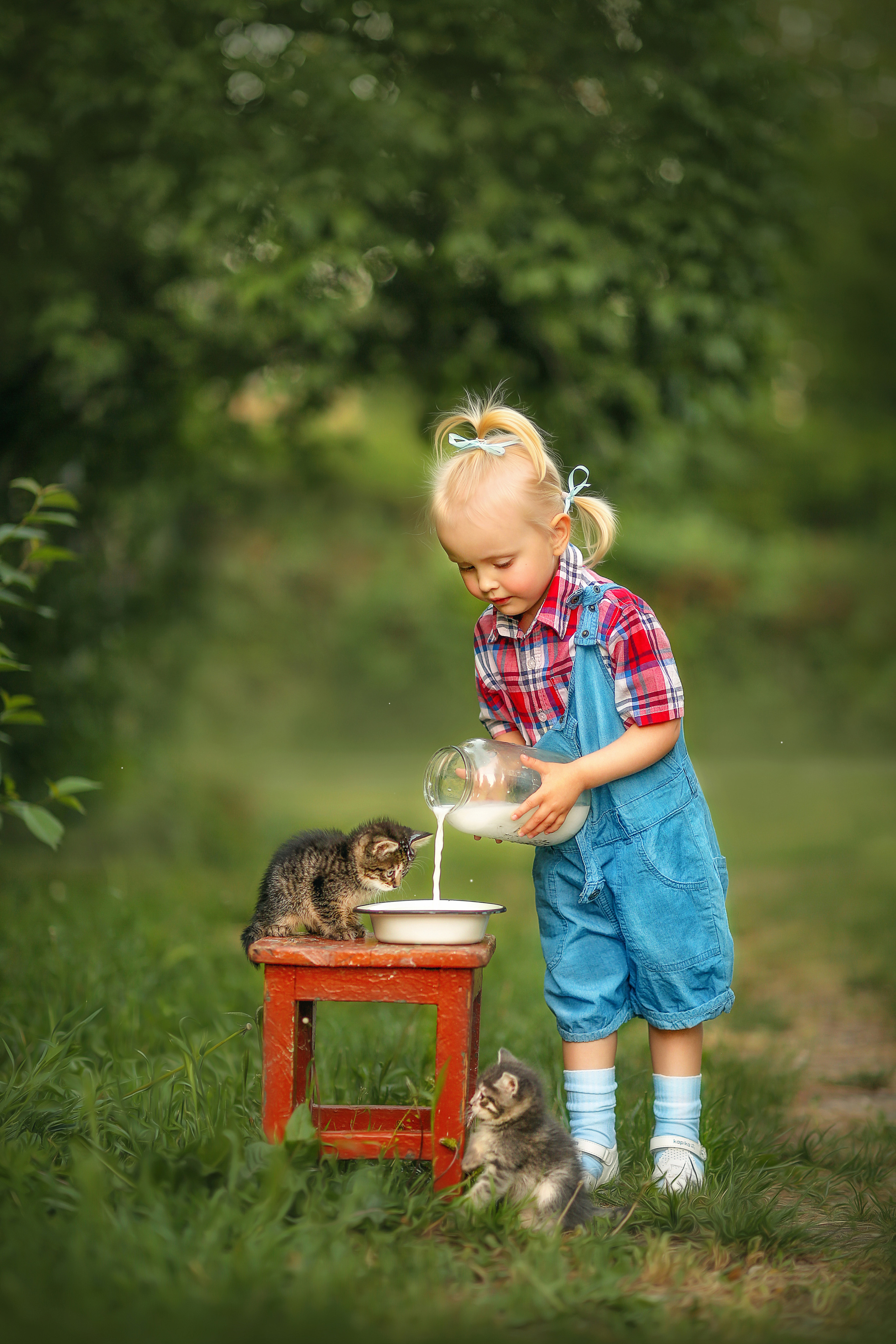 Портфолио. Главная