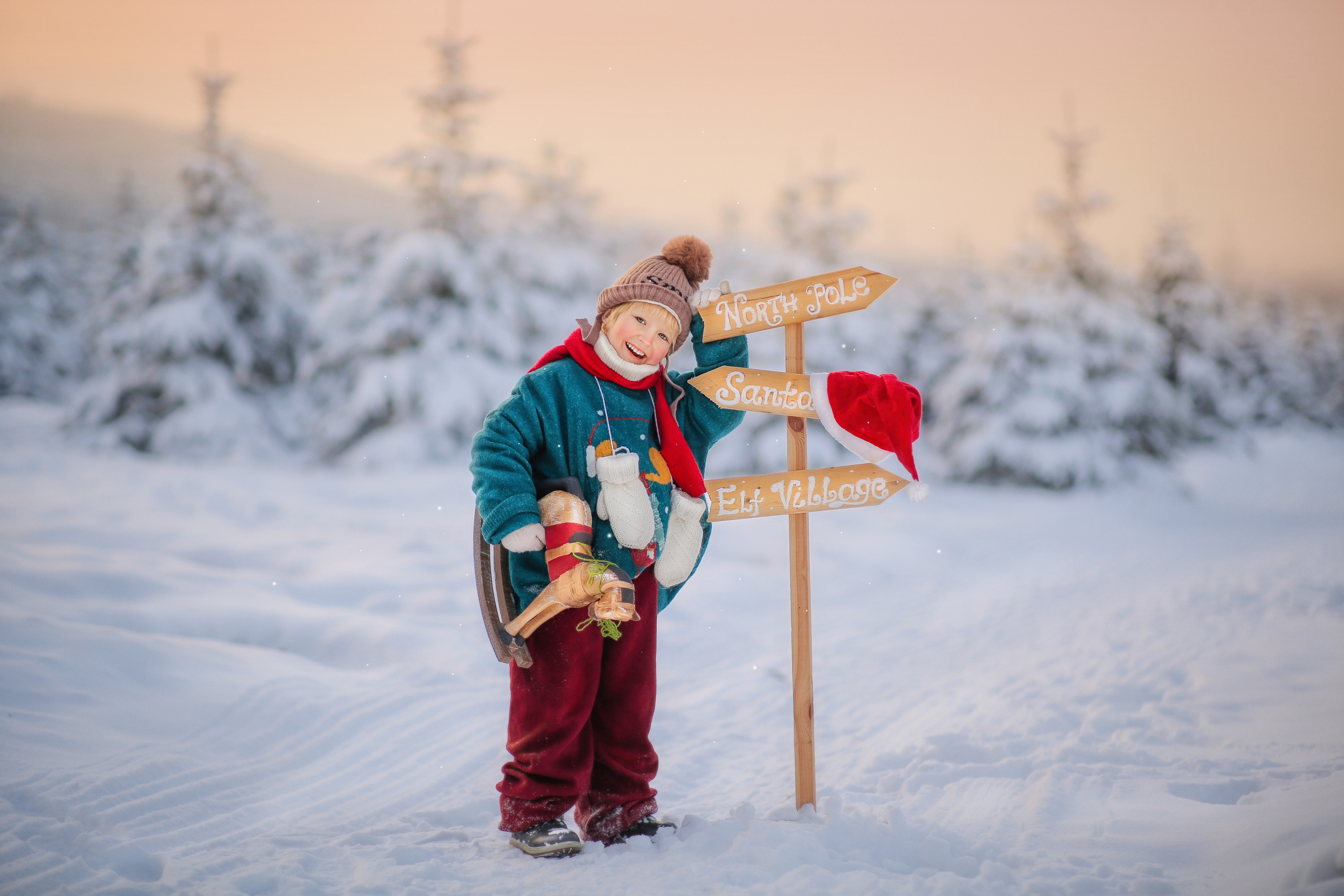 Портфолио. Главная