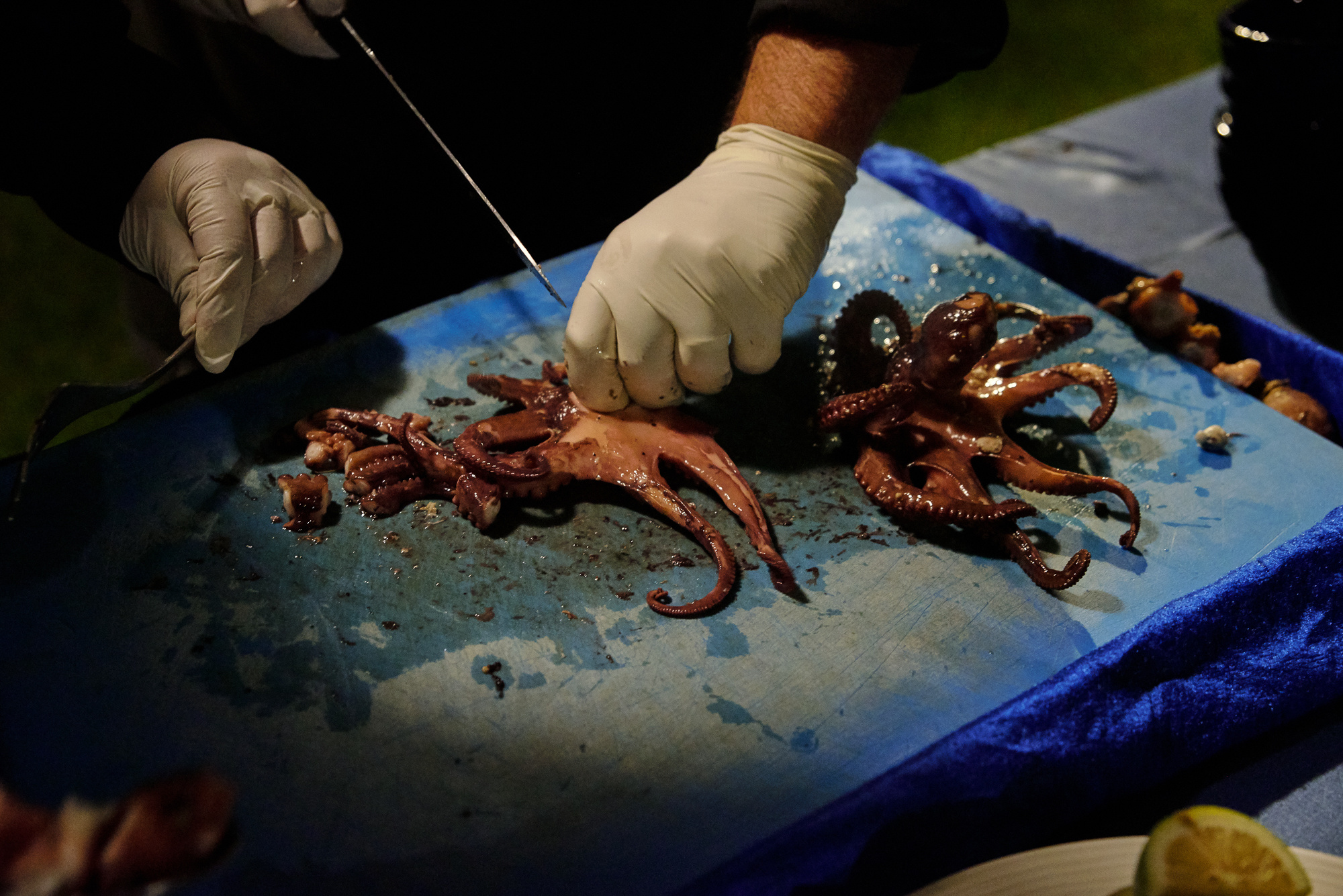 Luka & Aleksandra. Фотограф Евгений Бирюков