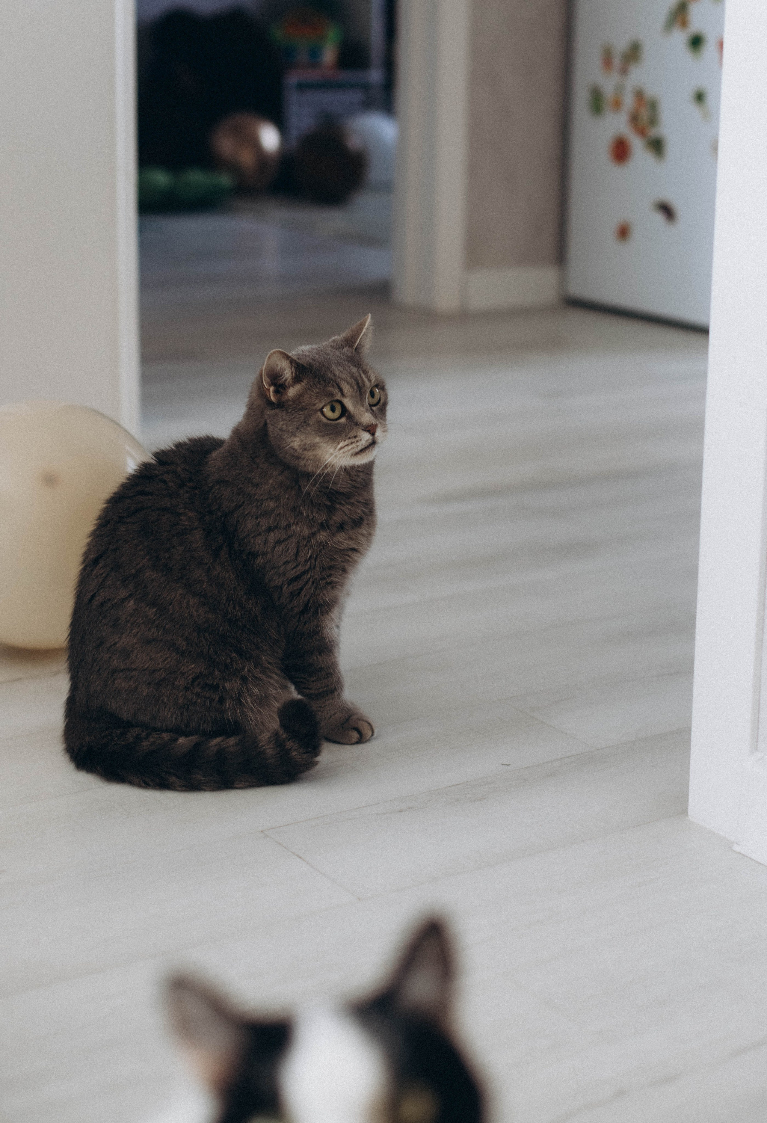 Андрею 1 годик. Фотограф Наталья Кургина Слюдянка Иркутск