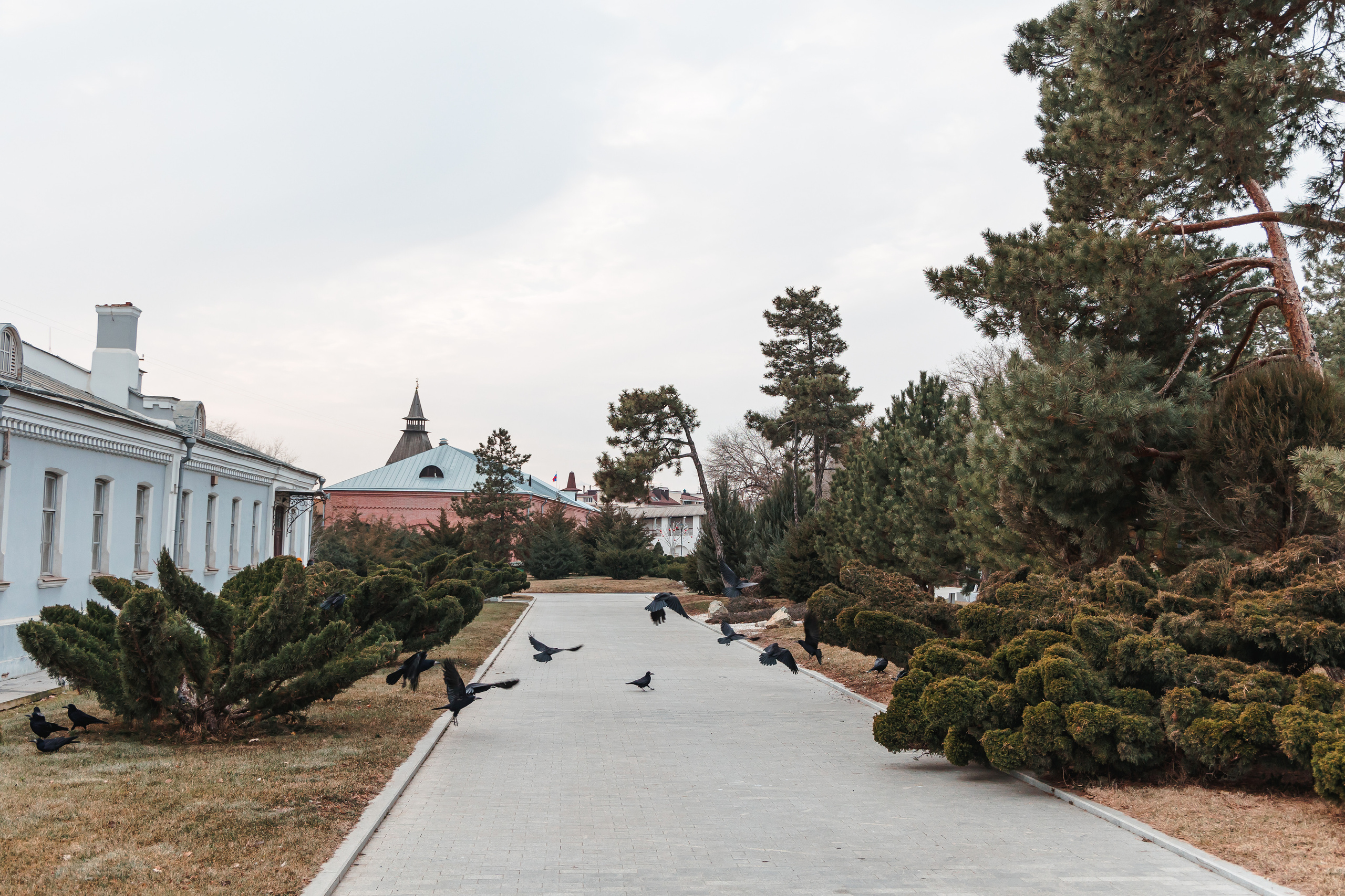 15.12.22.Астрахань. Свадебный фотограф в Хабаровске