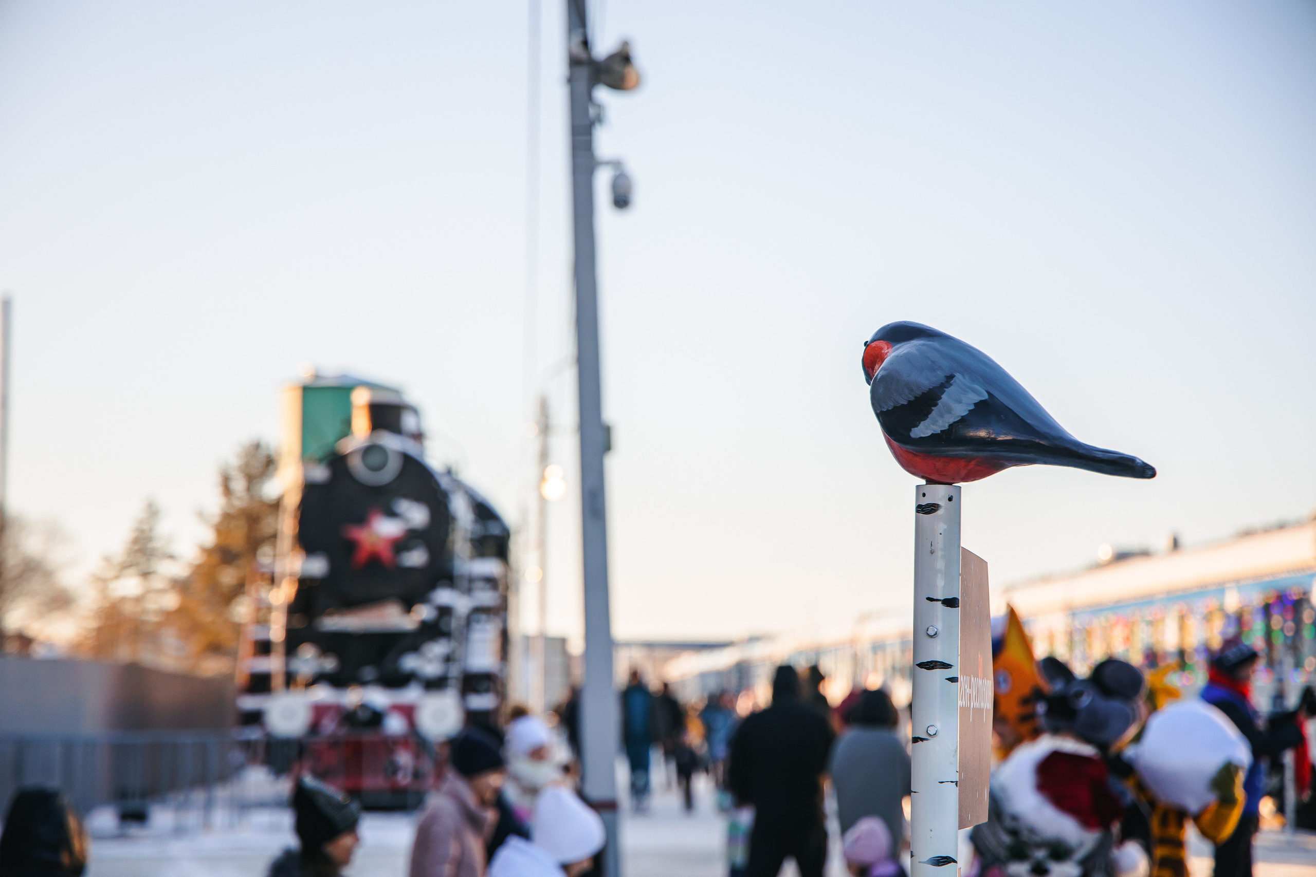 12.11.22.Благовещенск. Свадебный фотограф в Хабаровске