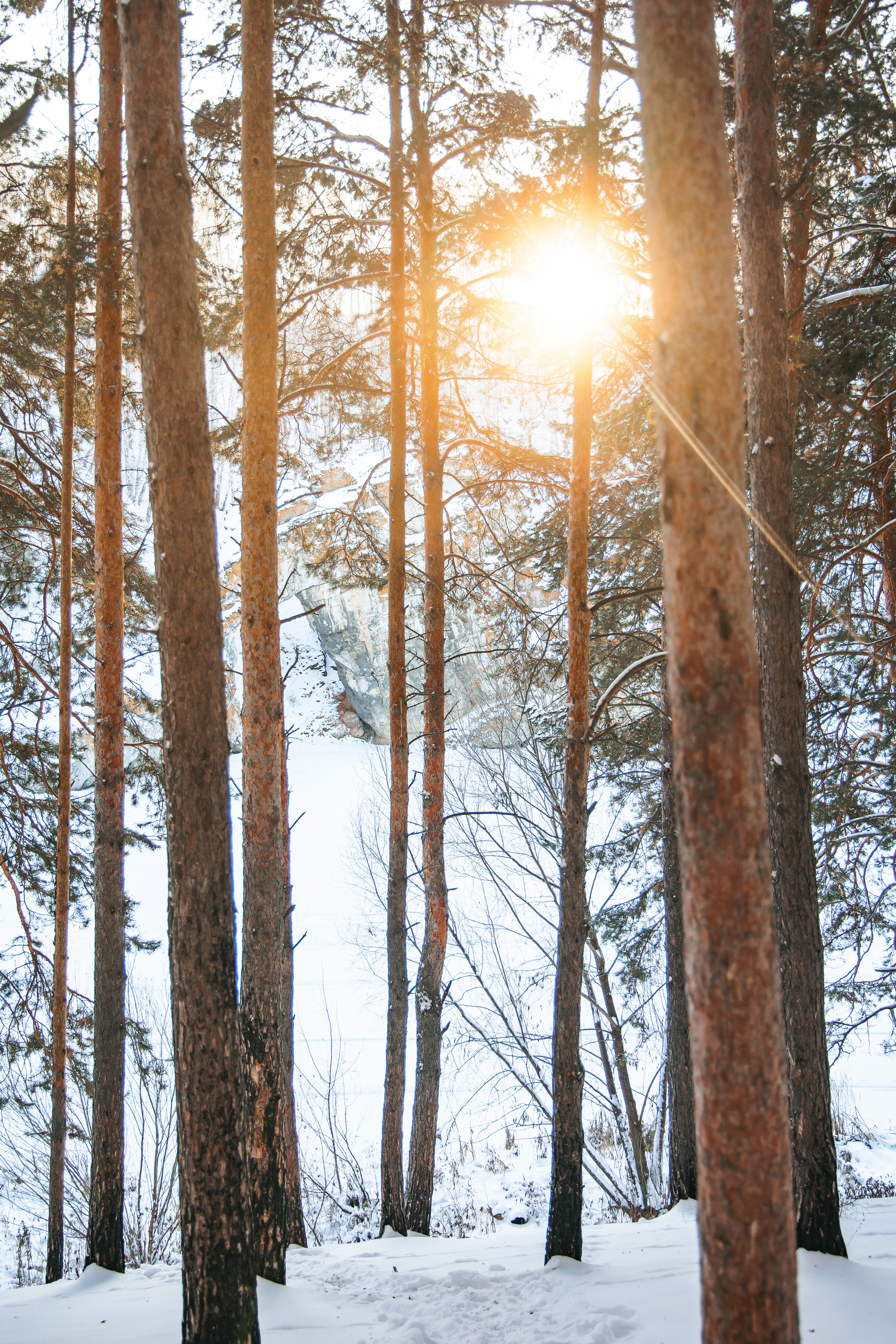 29.11.22.Каменск-Уральский. Свадебный фотограф в Хабаровске